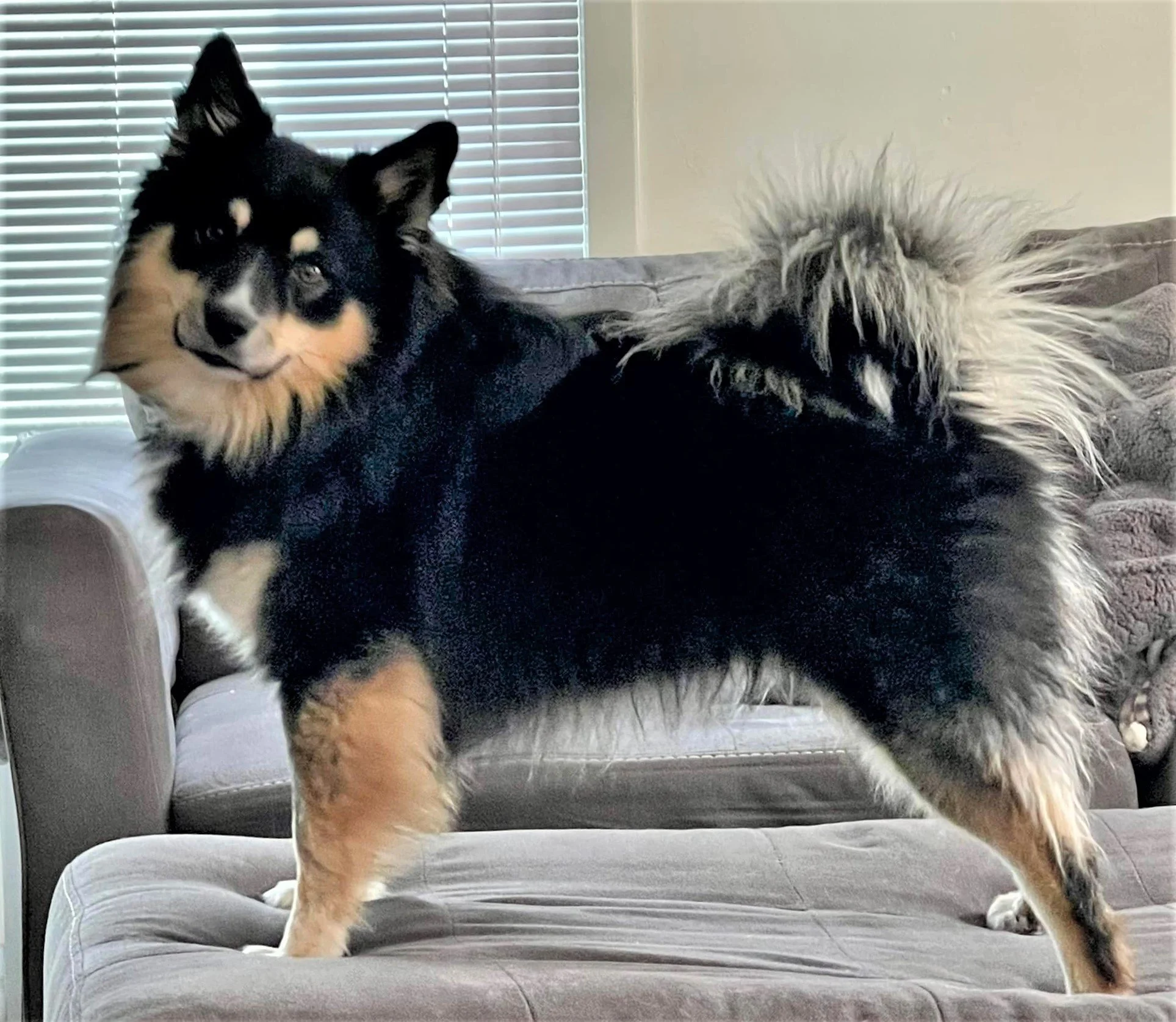 Marcus side 3 years old.jpg