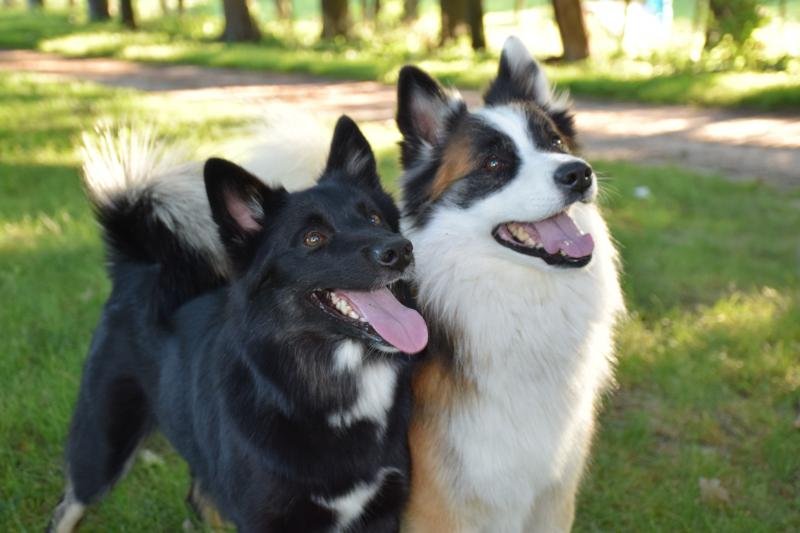 Laki and Elva September 28, 2015
