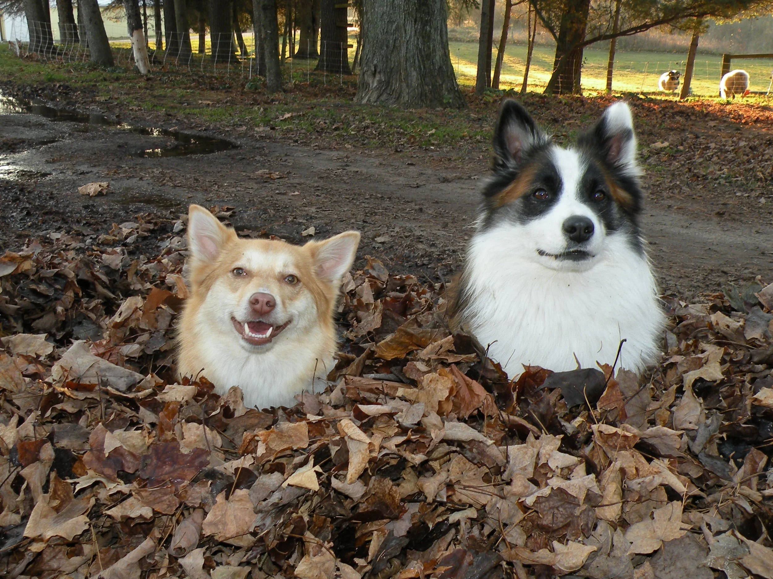 Laki and Vera August 27, 2013