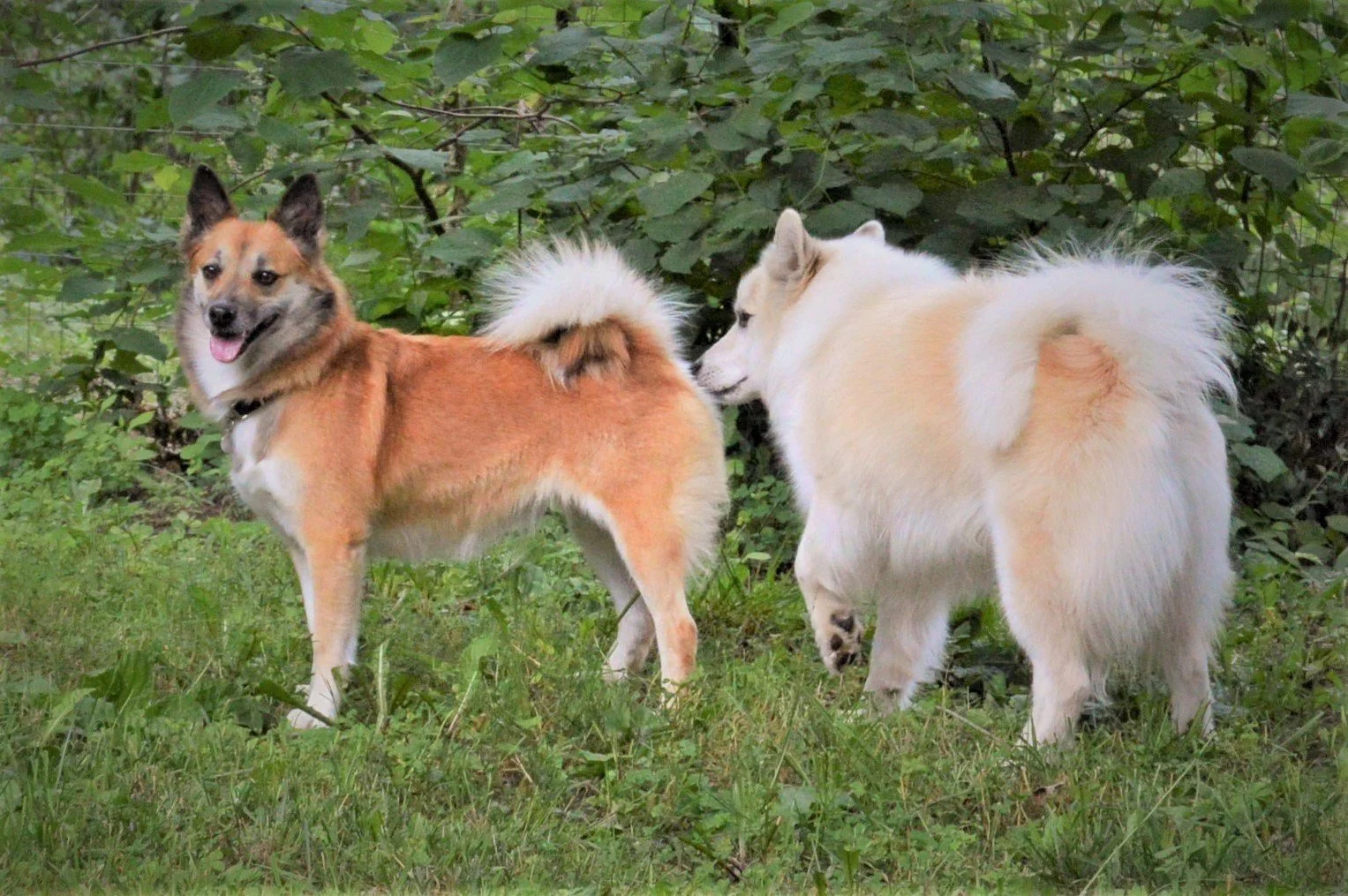 Enja and Tobbi September 17, 2020