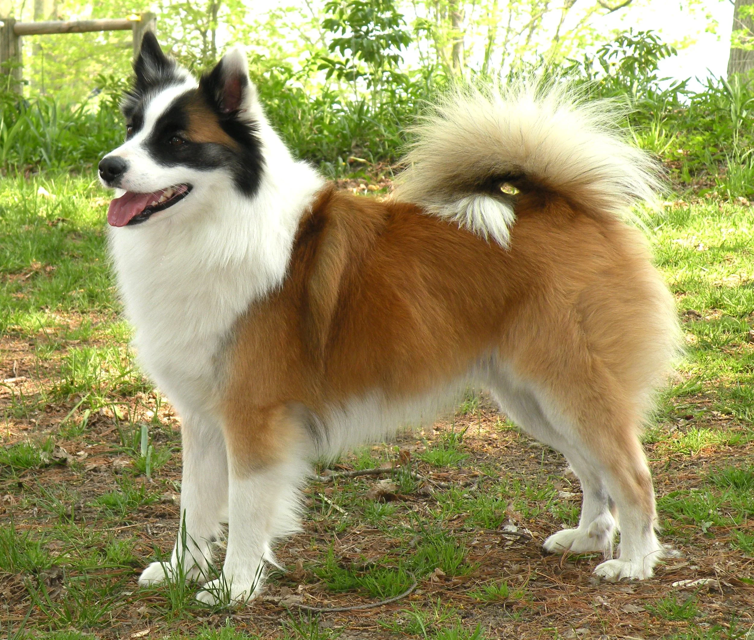 Laki loved to strike a pose