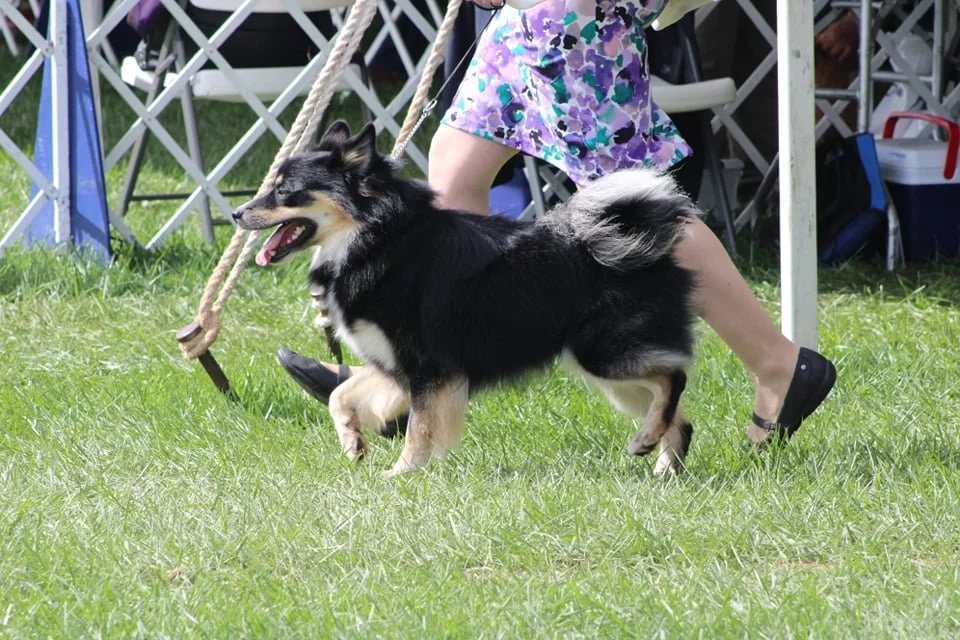 Meg Pixton photo of Marcus and me.jpg