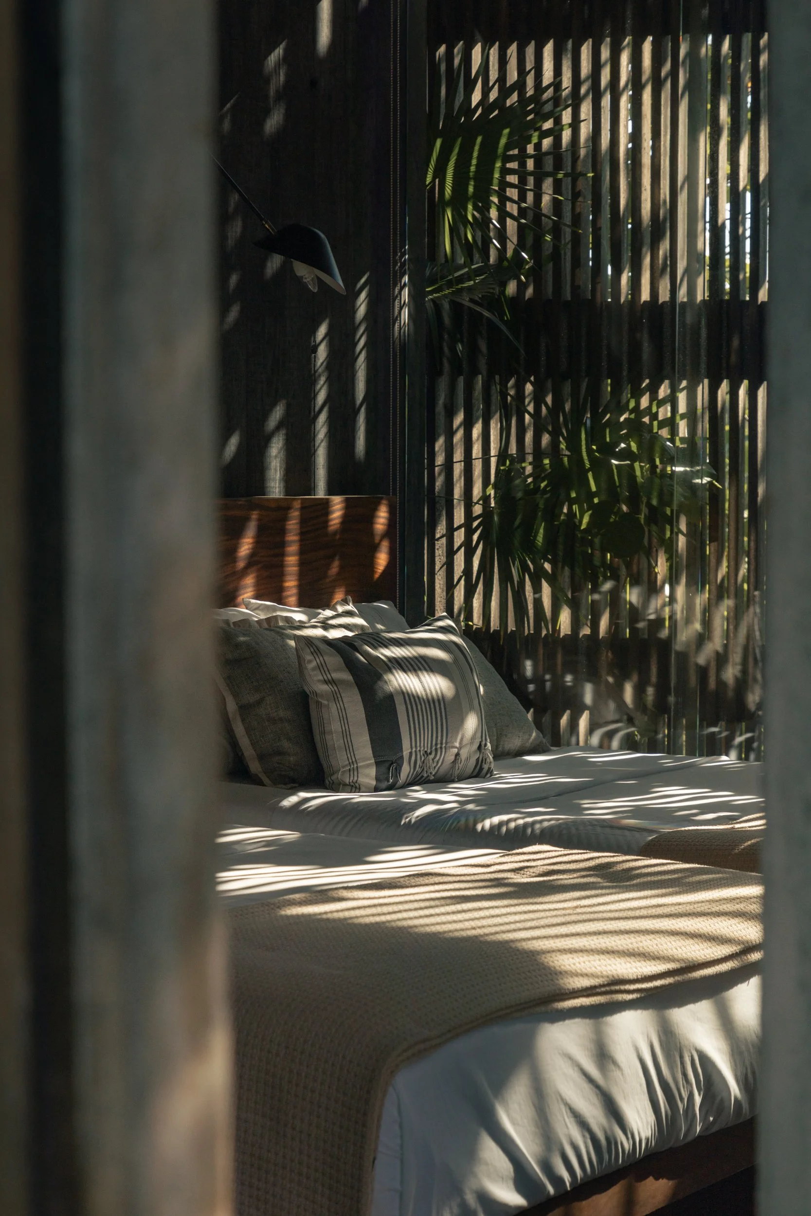 2025.10-Voom-Anina-Casa Malandra-Baja-8.jpg