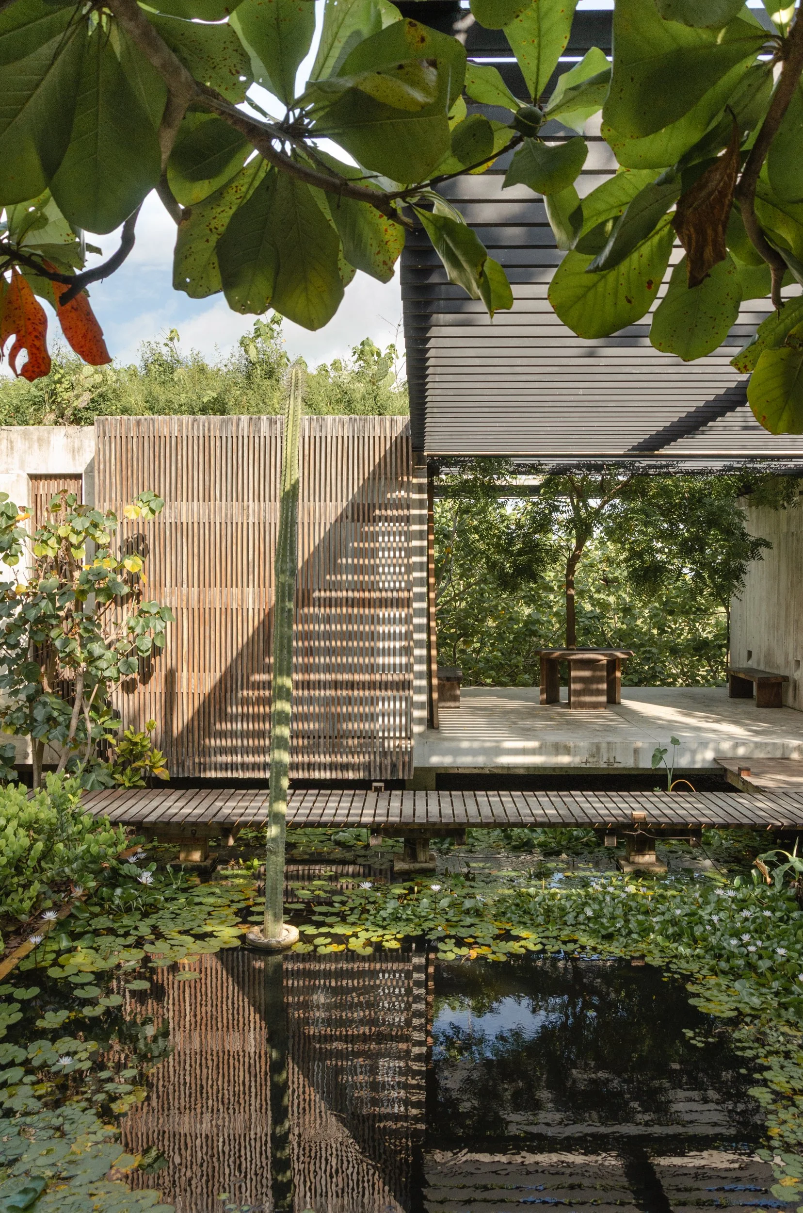 2025.10-Voom-Anina-Casa Malandra-Baja-6.jpg