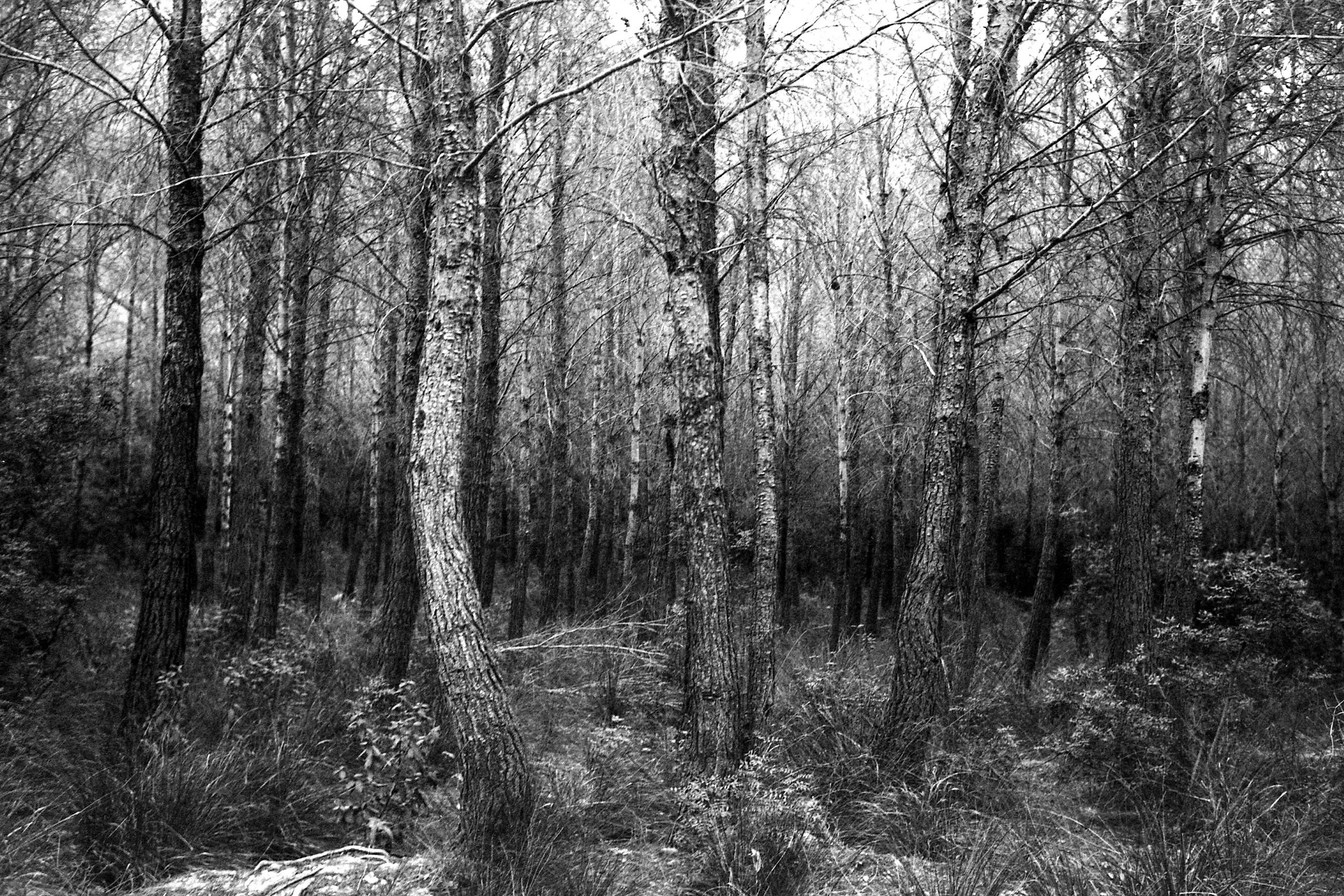 76 #054 AcrosP400007 v2.jpg