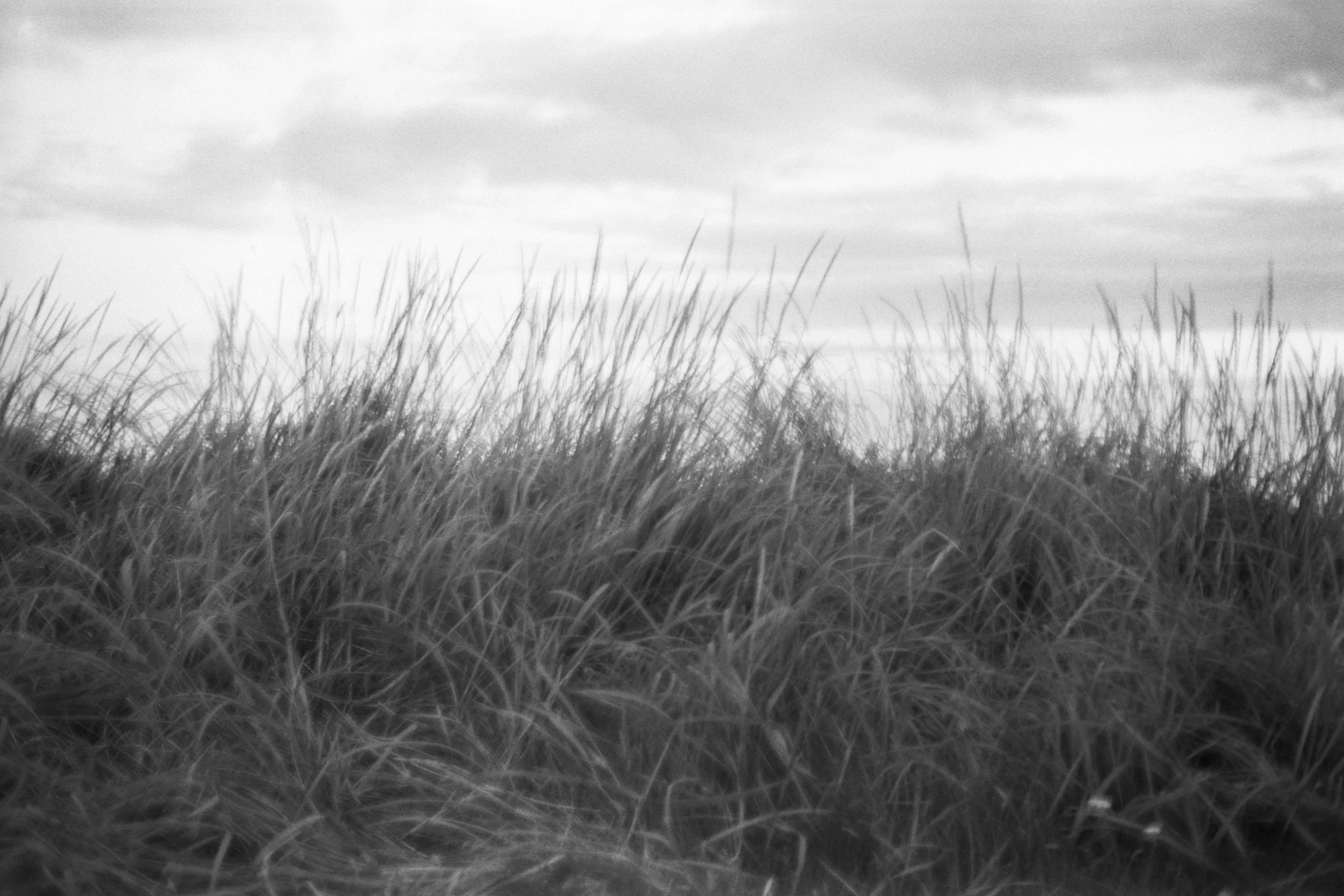 58 #071 TMAX400_10.jpg