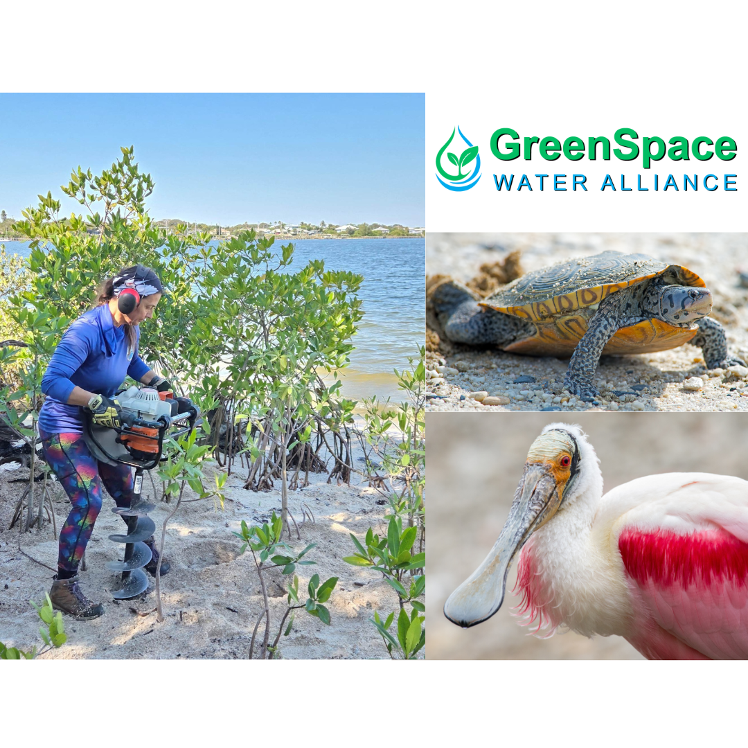  Lagoon Island Restoration Success