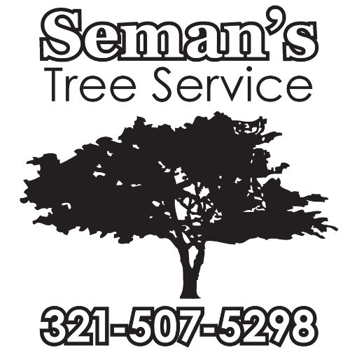 Untitled design - 2026-01-21T141806.558.png