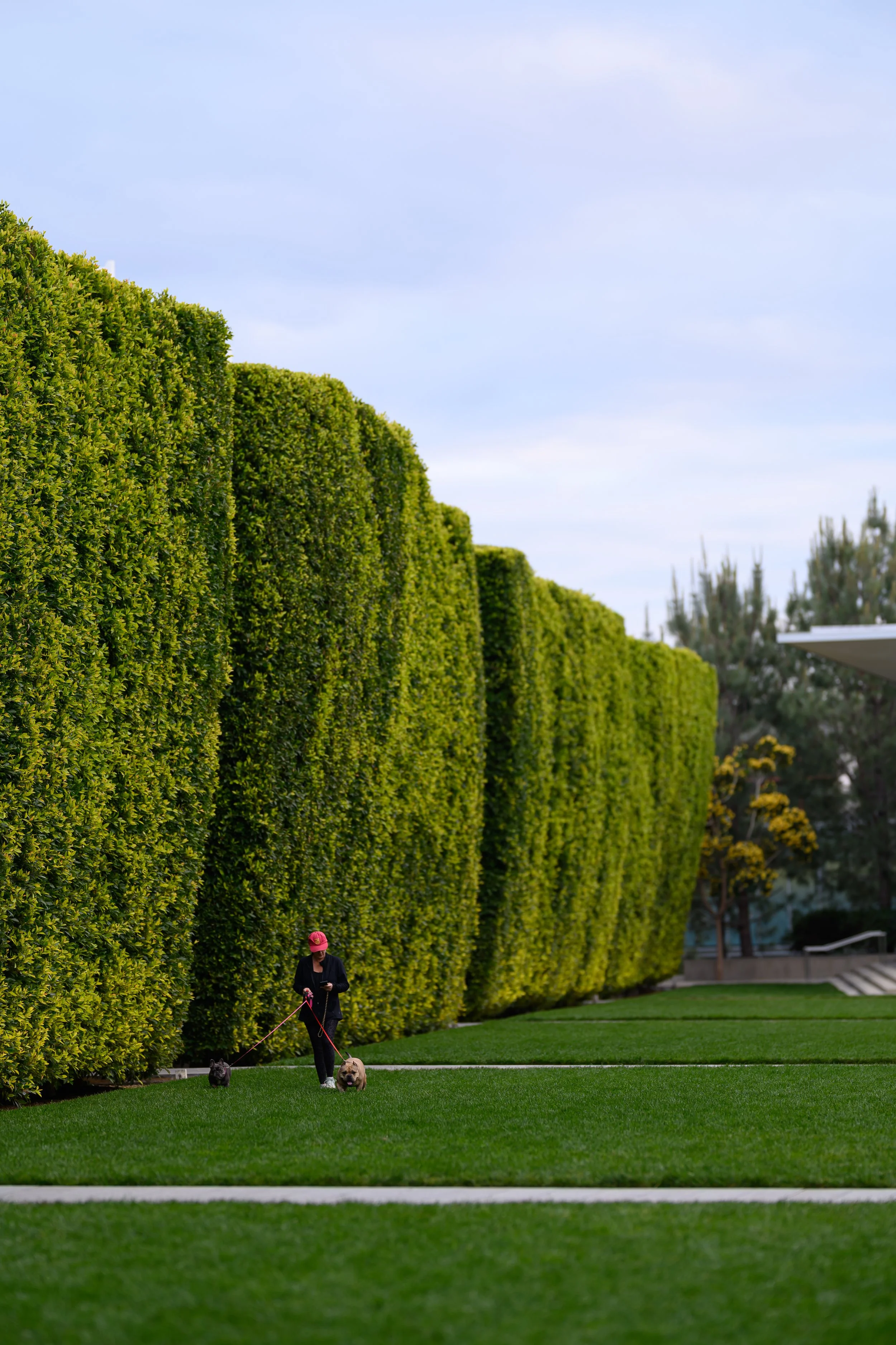 DSC_1930.jpg