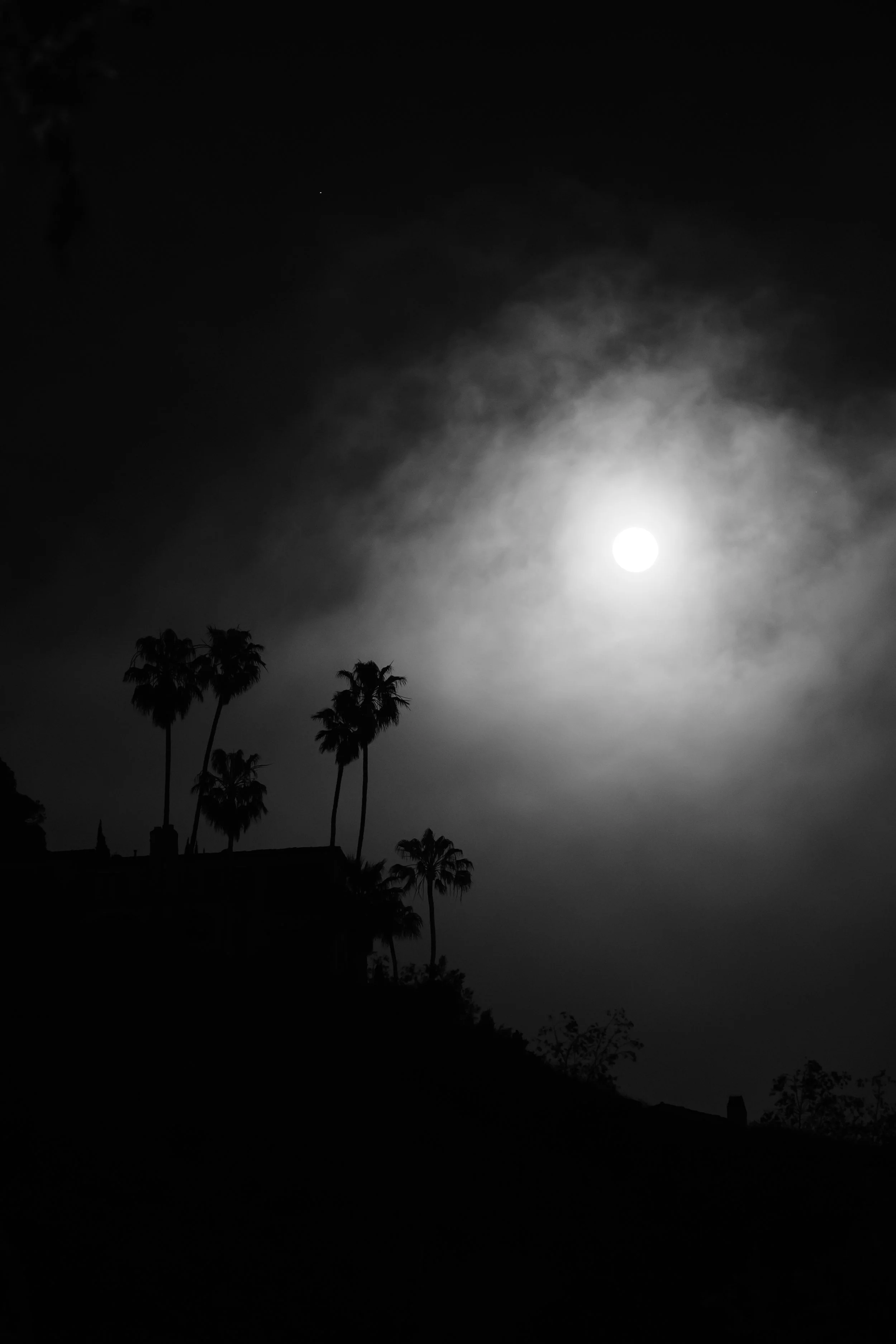 DSC_1900.jpg