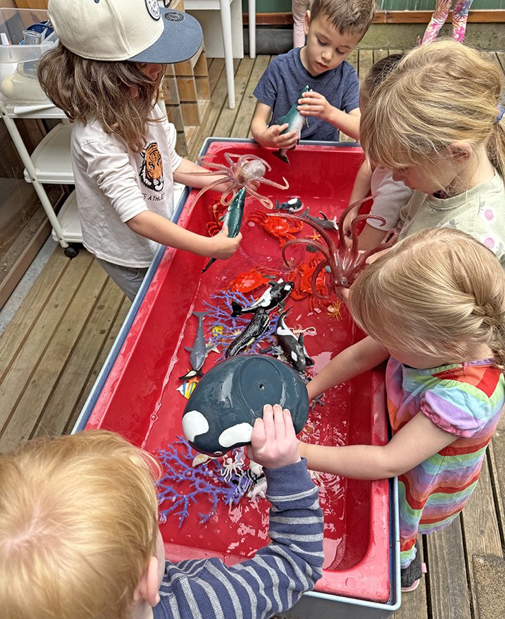 PS Touch Tank IMG_0644.jpg