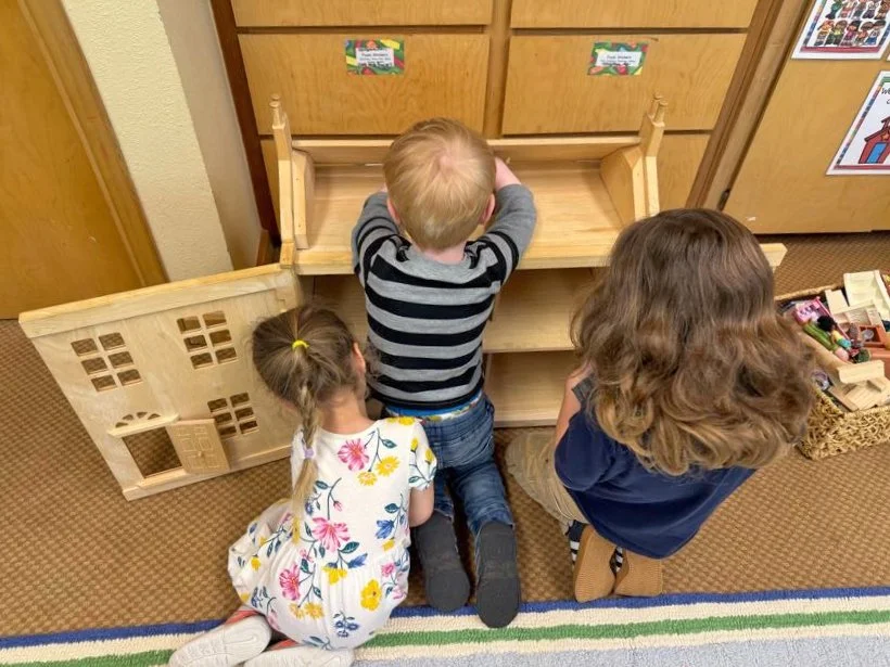 PS Doll House Play IMG_0704.jpg