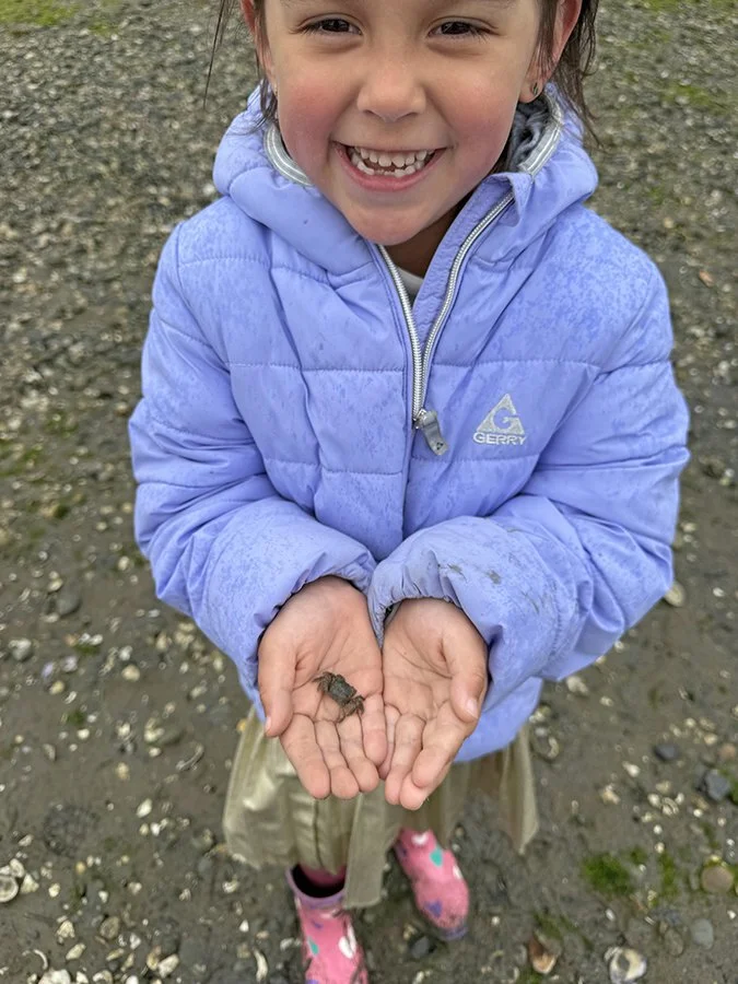 PS Crab IMG_0500.jpg