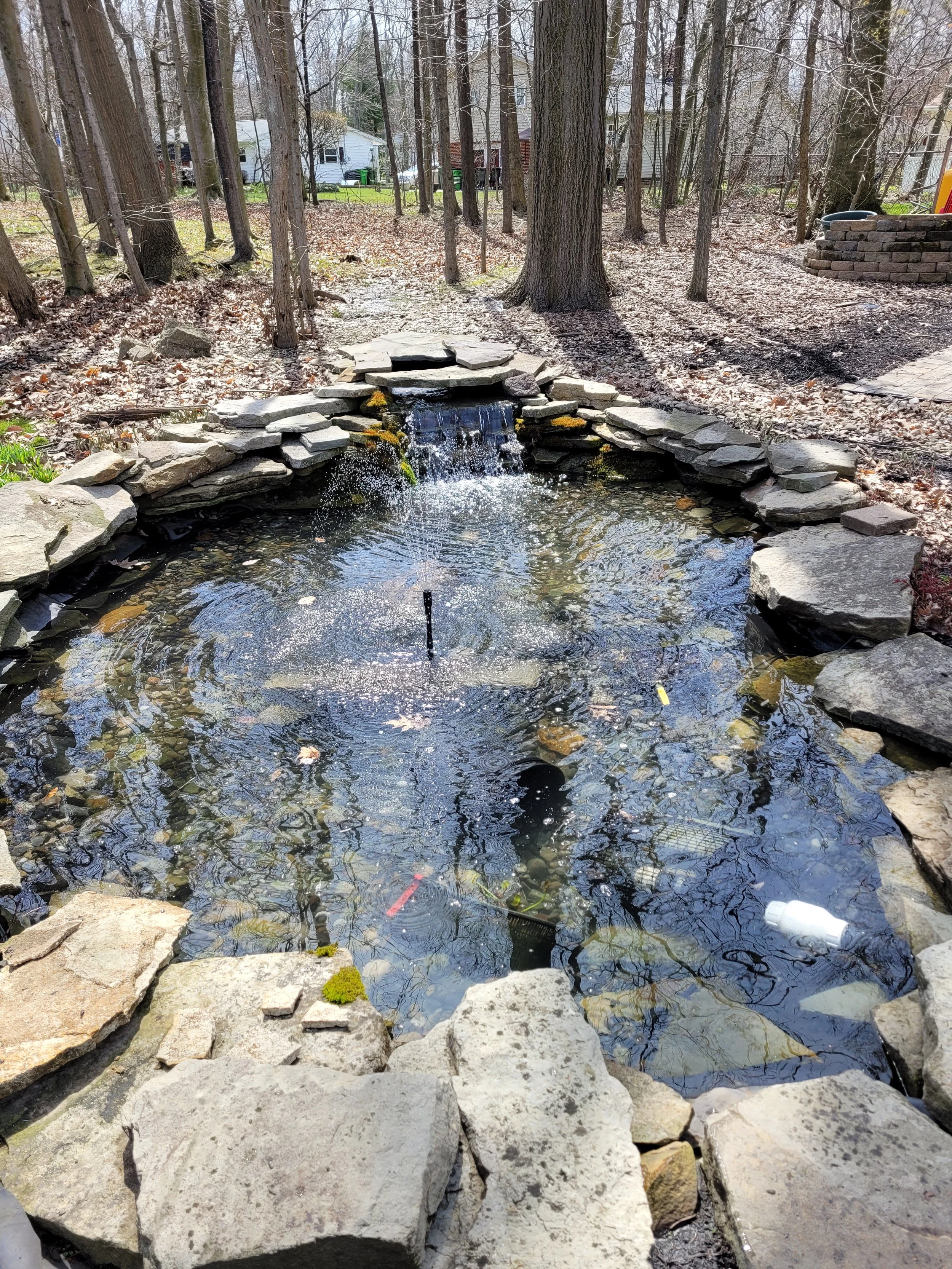 Pond cleaning