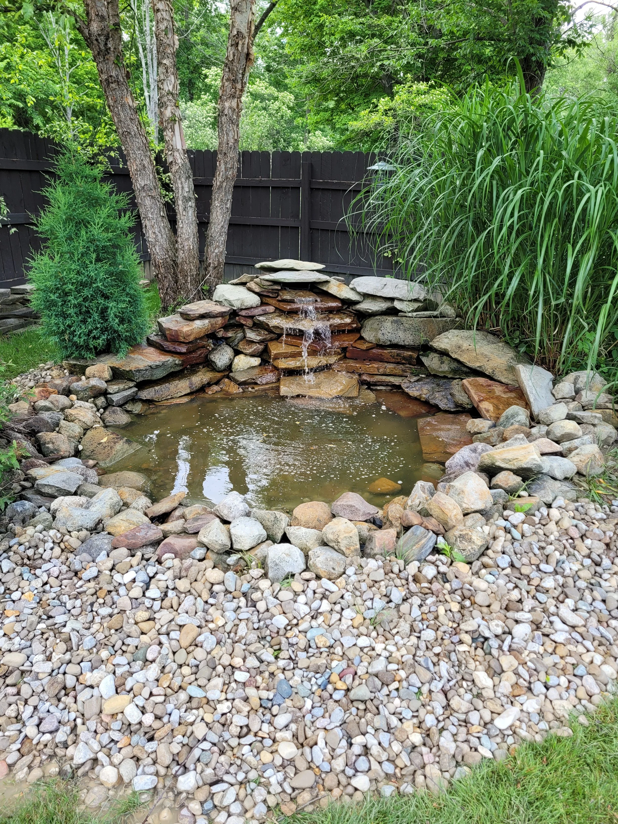 Backyard pond with a rock waterfall and surrounding plants.