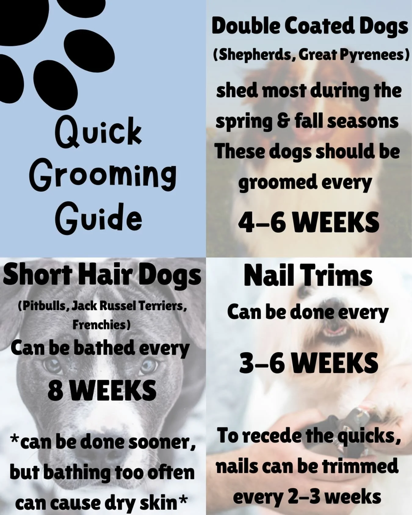 Wondering when&rsquo;s a good time to get your dog in the grooming schedule? 🤔 take at look at our Quick Grooming Guide for some tips 📝🐾

#dogsofinstagram #doggroomer #doggroomingsalon #grooming #dogsofinsta #puppygrooming #dogslife #dogsofhudsonv
