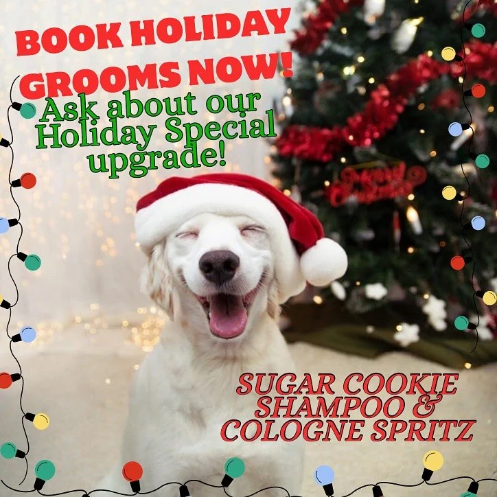 Sleigh the season with a fresh groom 🛁🎄Holiday spots are filling up FAST! Book your pup a salon appointment so they don&rsquo;t smell like they&rsquo;re on the naughty list 🎅🏼
Don&rsquo;t forget to ask us about our HOLIDAY SPECIAL featuring SUGAR