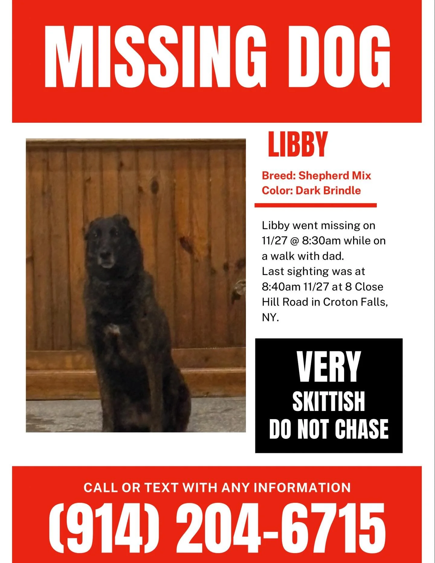 MISSING DOG IN CROTON FALLS, NY. A member of the Backyard Bones pack went missing this morning at 8:30am after she ran off while on a walk with her dad. Last sighting was at 8:40am at 8 CLOSE HILL ROAD, CROTON FALLS NY. 
Please keep your eye out for 