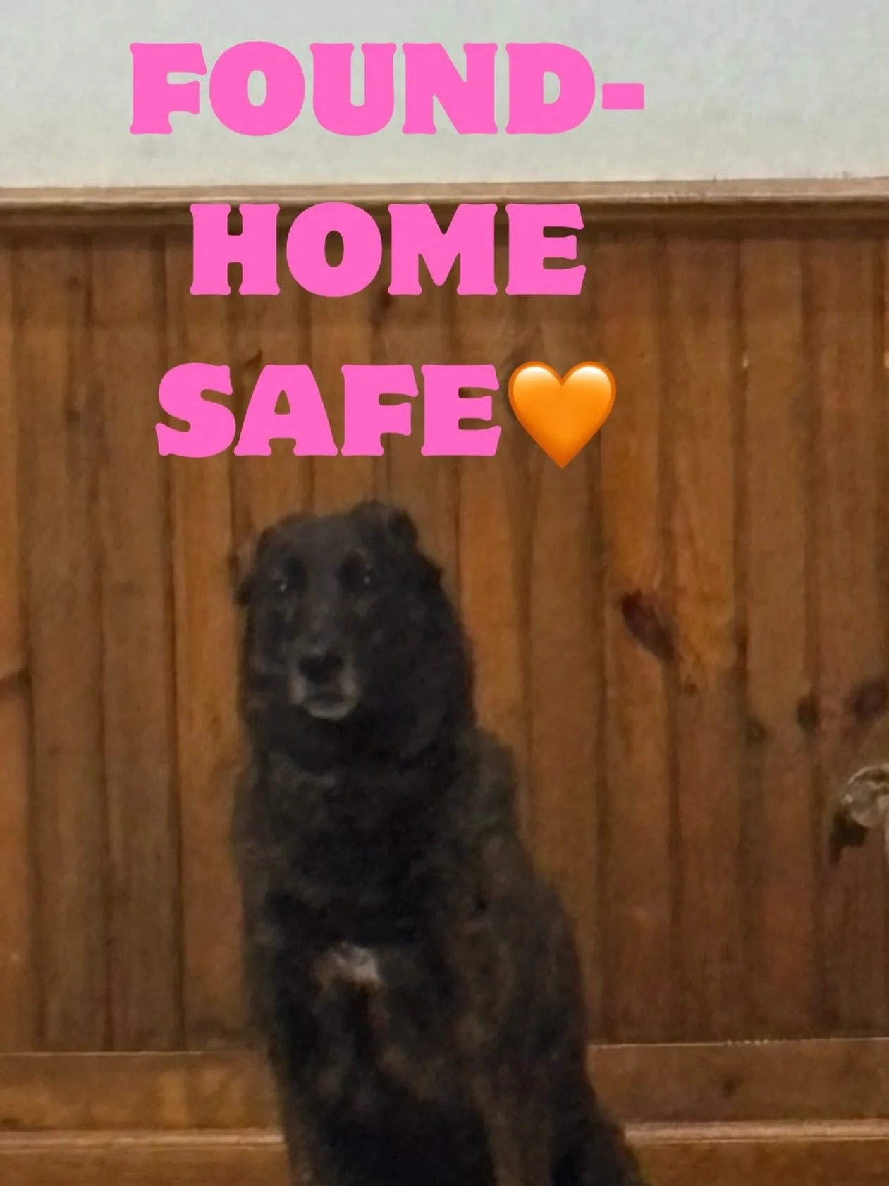 LIBBY IS HOME AND SAFE 💕