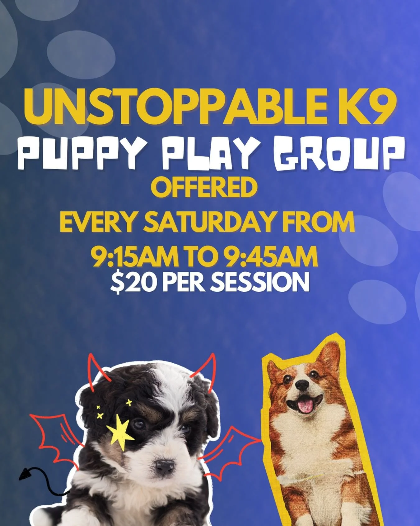 Puppy Play Group runs every Saturday from 9:15am to 9:45am! Bring your pup by so they can build confidence, skills, and friendships 🐾💕

#dogsofinstagram #puppyplaygroup #puppysocialization