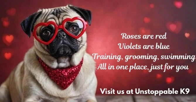 Getting in the Valentine&rsquo;s Day spirit 💕 reach out to us for more info on our services!

#dogsofinstagram #dogtraining #doghydrotherapy #doggrooming #unstoppablek9