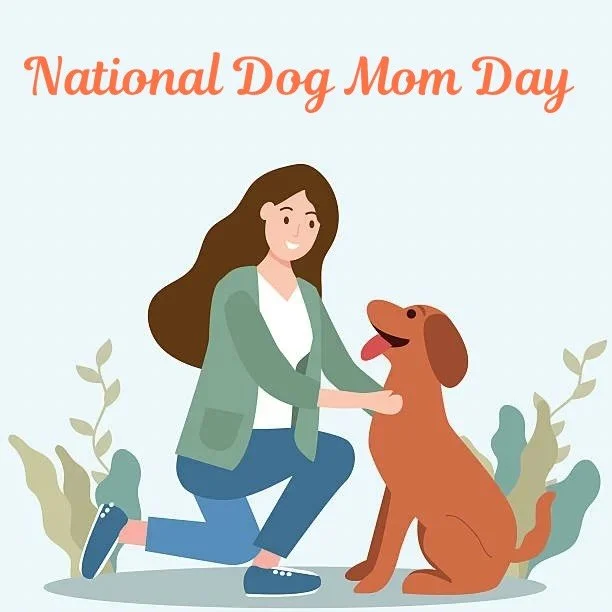 Happy National Dog Mom Day to the women who never get personal space, always have treats in their pocket, and somehow wouldn&rsquo;t have it any other way 🐾❤️

#dogmom #nationaldogmomday #dogsofinstagram #dogtraining #doggrooming