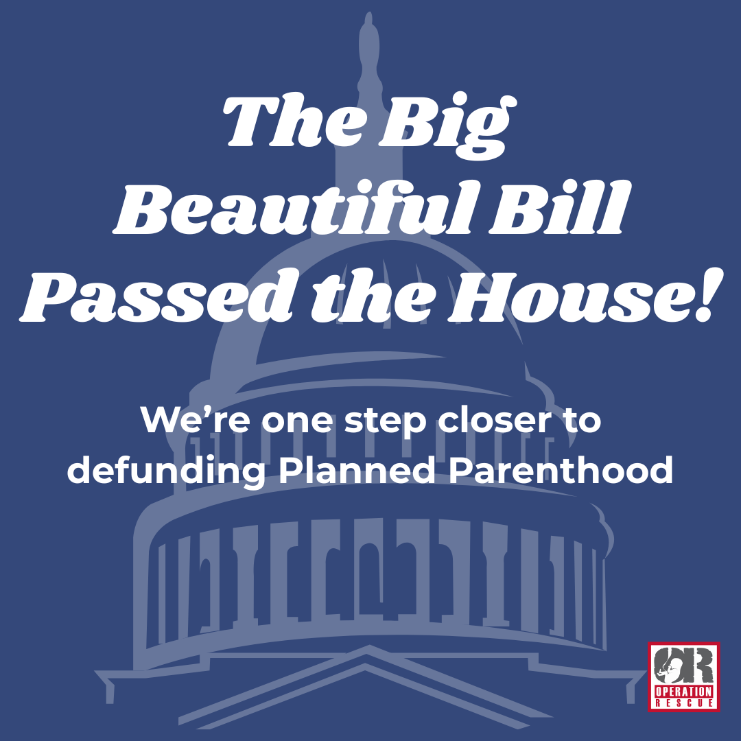 The Big Beautiful Bill Passed the House!.png
