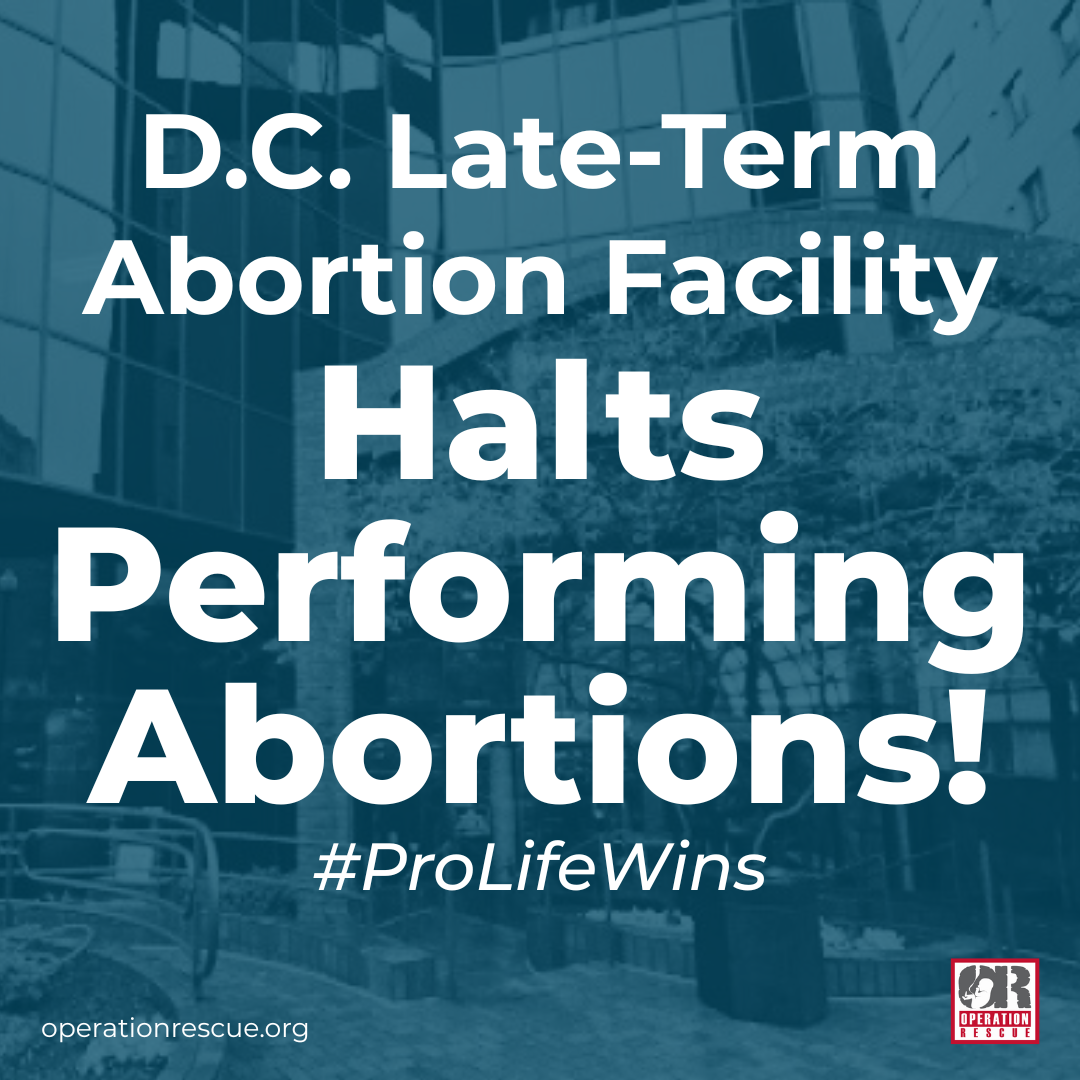 Your paragraph text (11).png