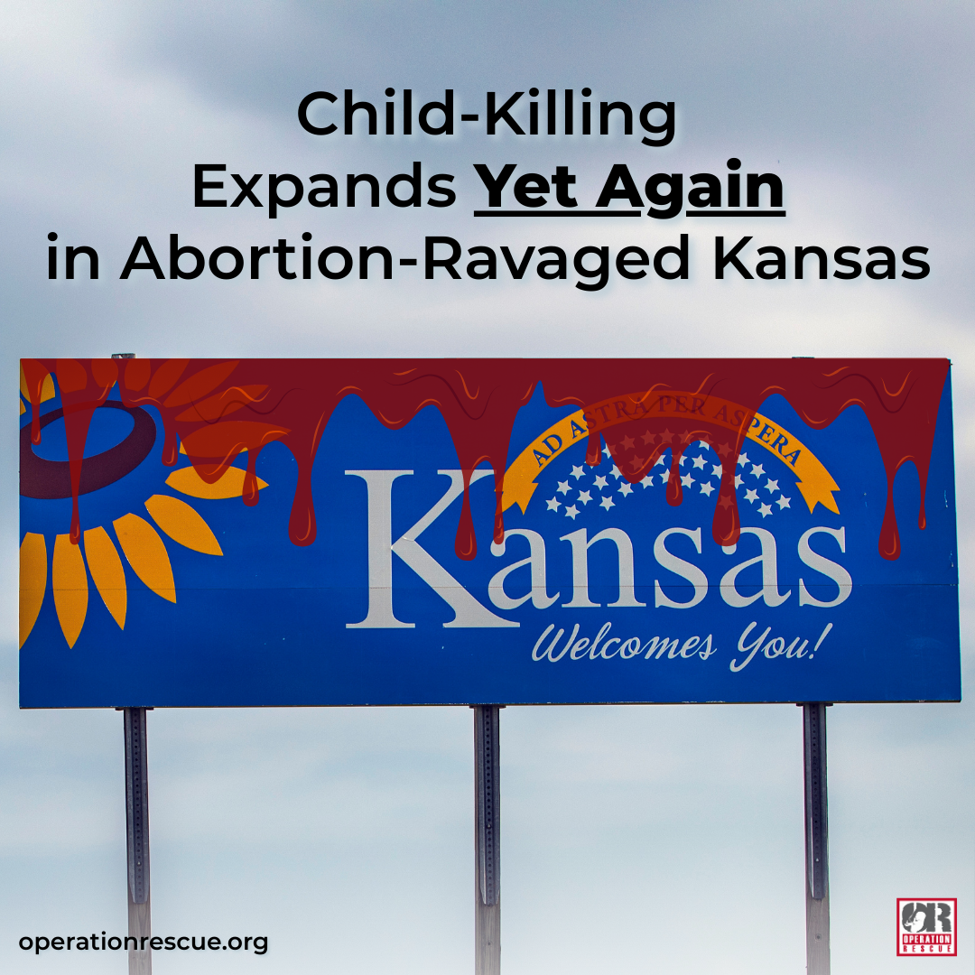 Kansas Abortion Expansion (1).png
