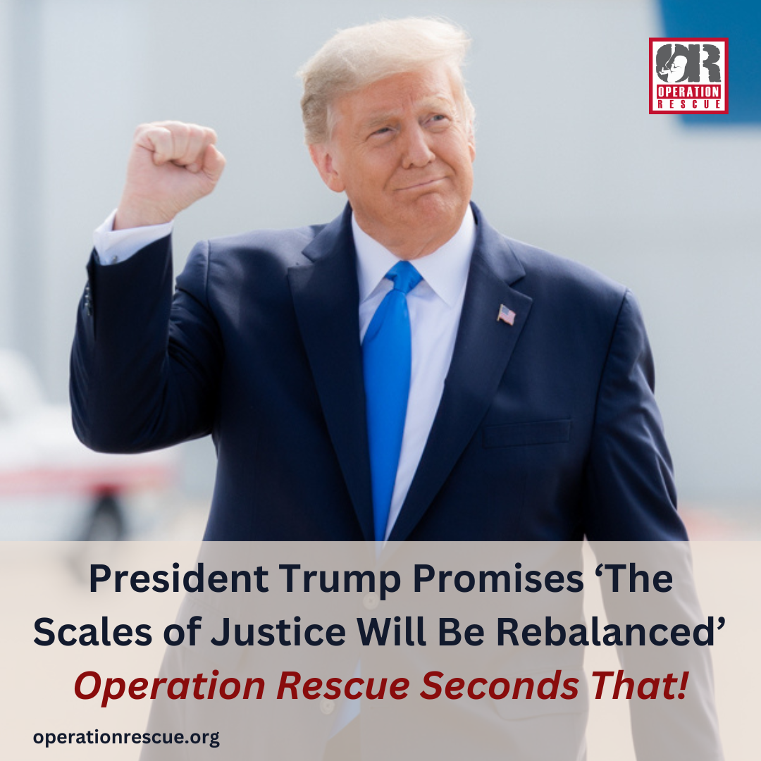 Your paragraph text.png