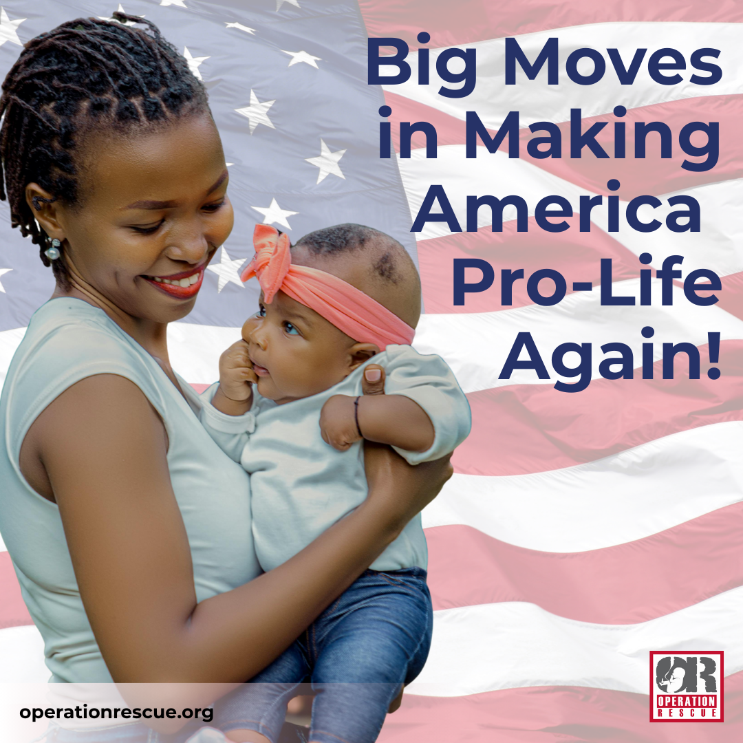 Big Moves in Making America Pro-Life Again!.png