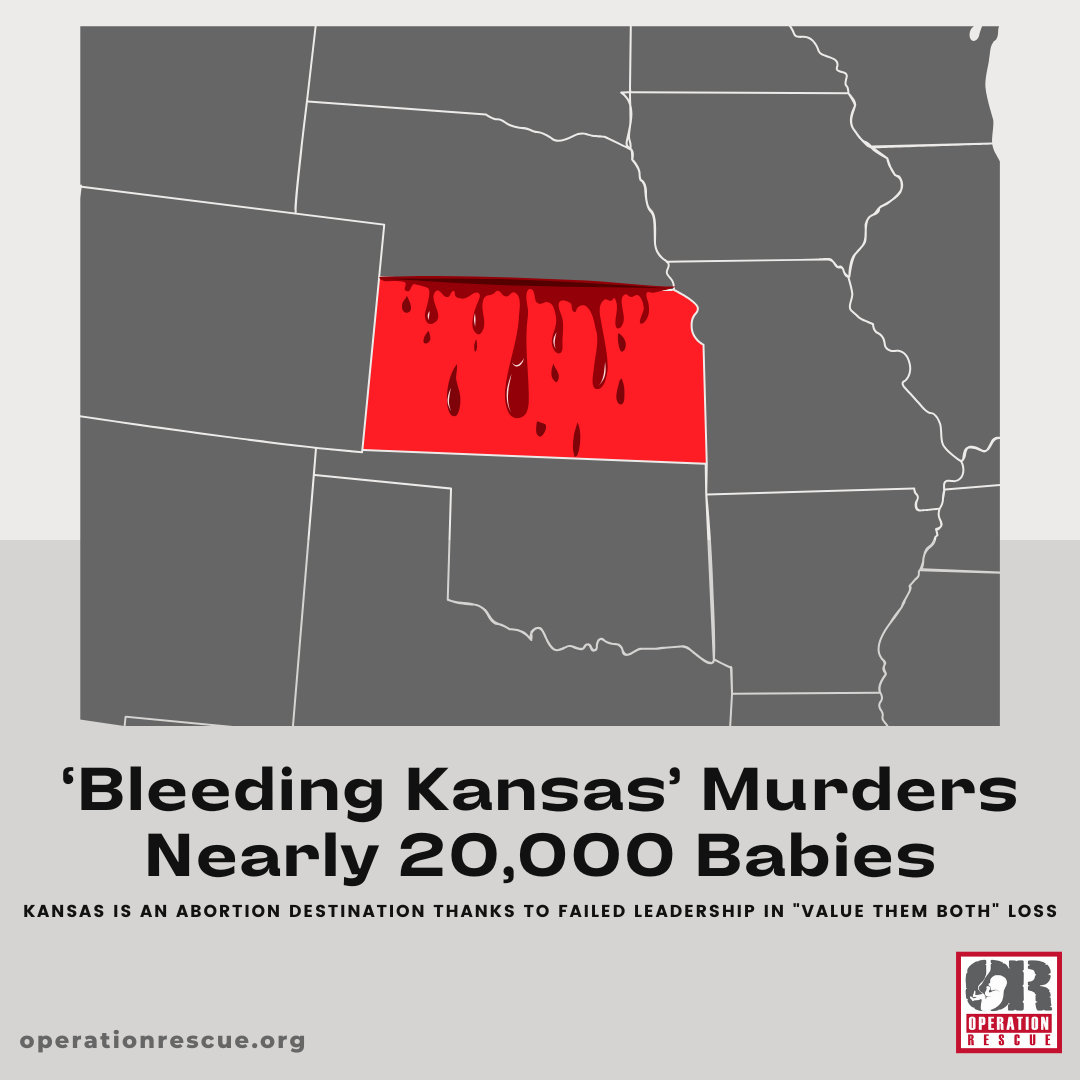 operationrescue.org (2).png