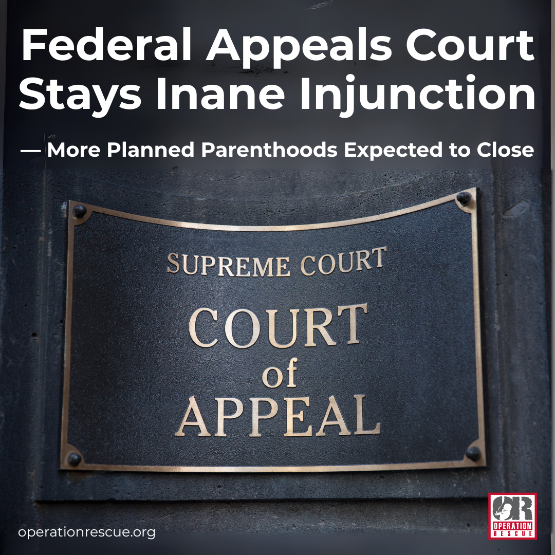 Your paragraph text (12).png