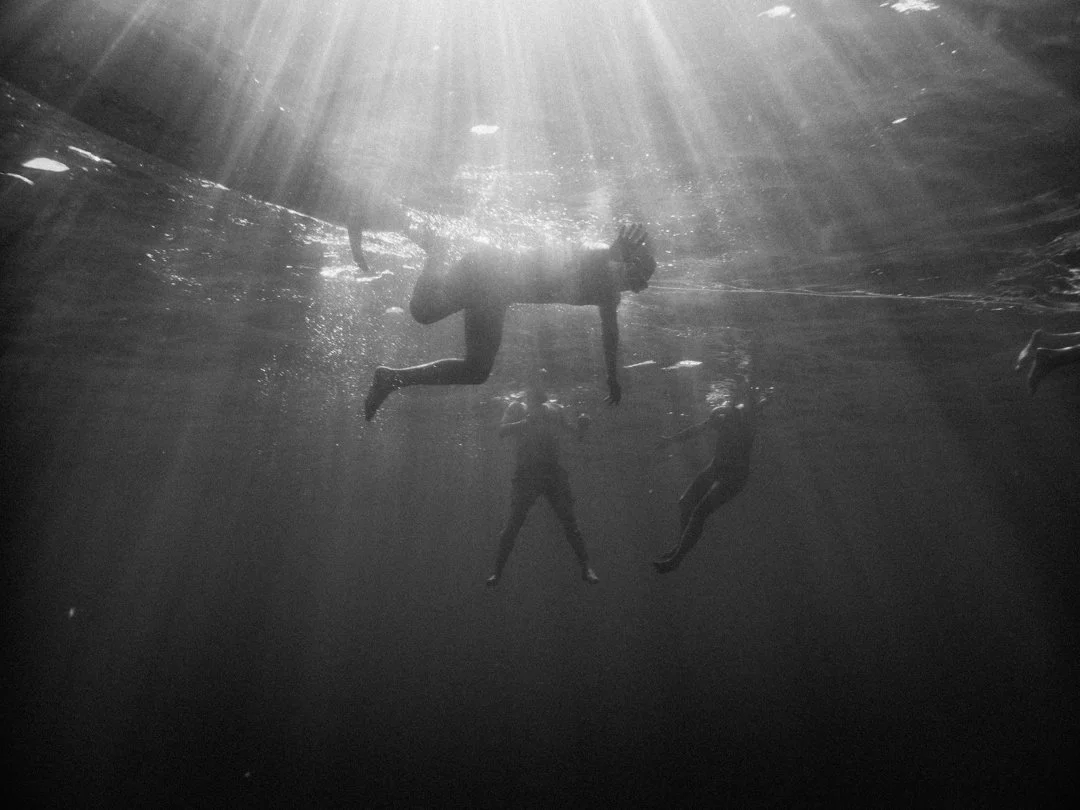 Costa Rica underwater 2026-4020133.jpg