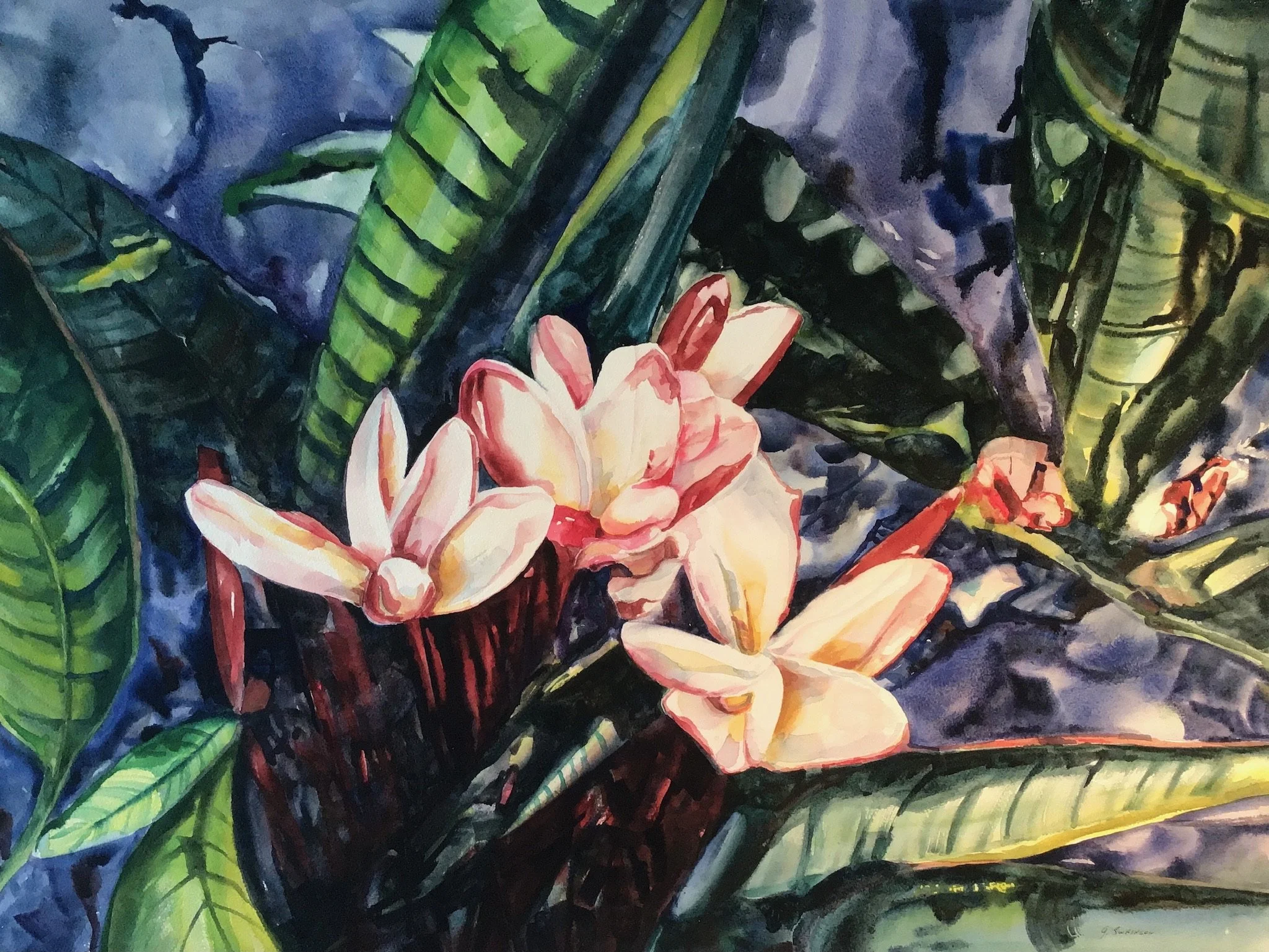 Shades of Paradise (29”x21”) $895 (unframed)