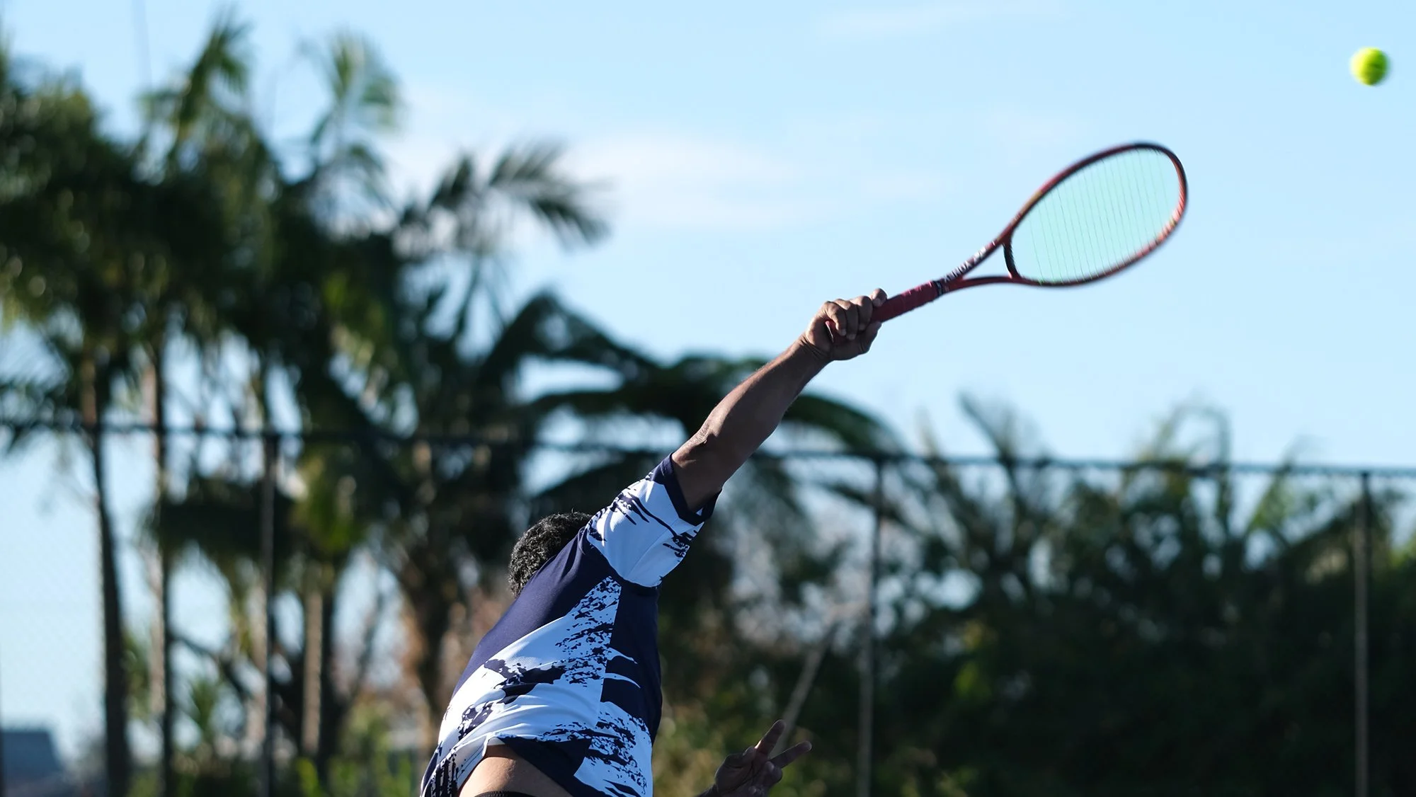 Palm Bay Rackets Tennis β Herne Bay Rackets