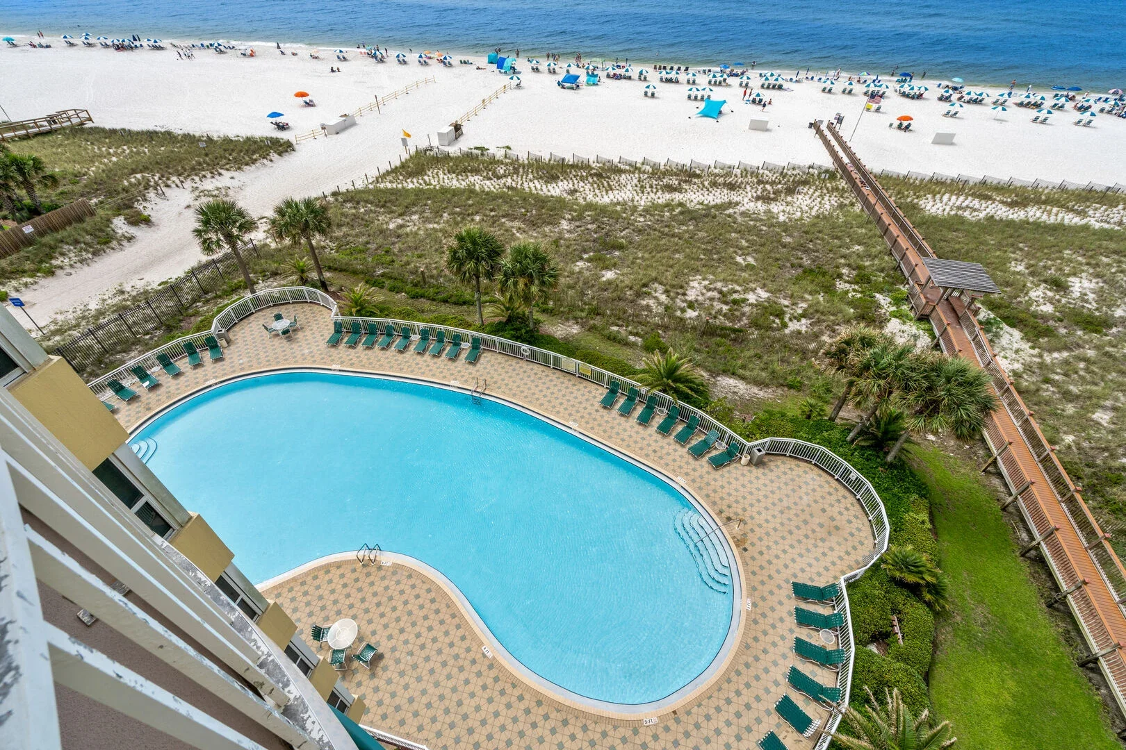 View of East Tower Pool from Balcony.webp