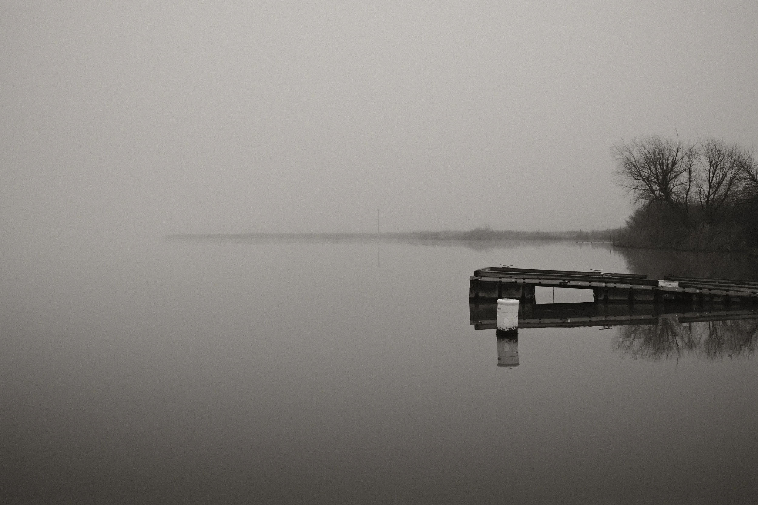 Calm water with a dock and a single buoy, bare trees on the shoreline, foggy background