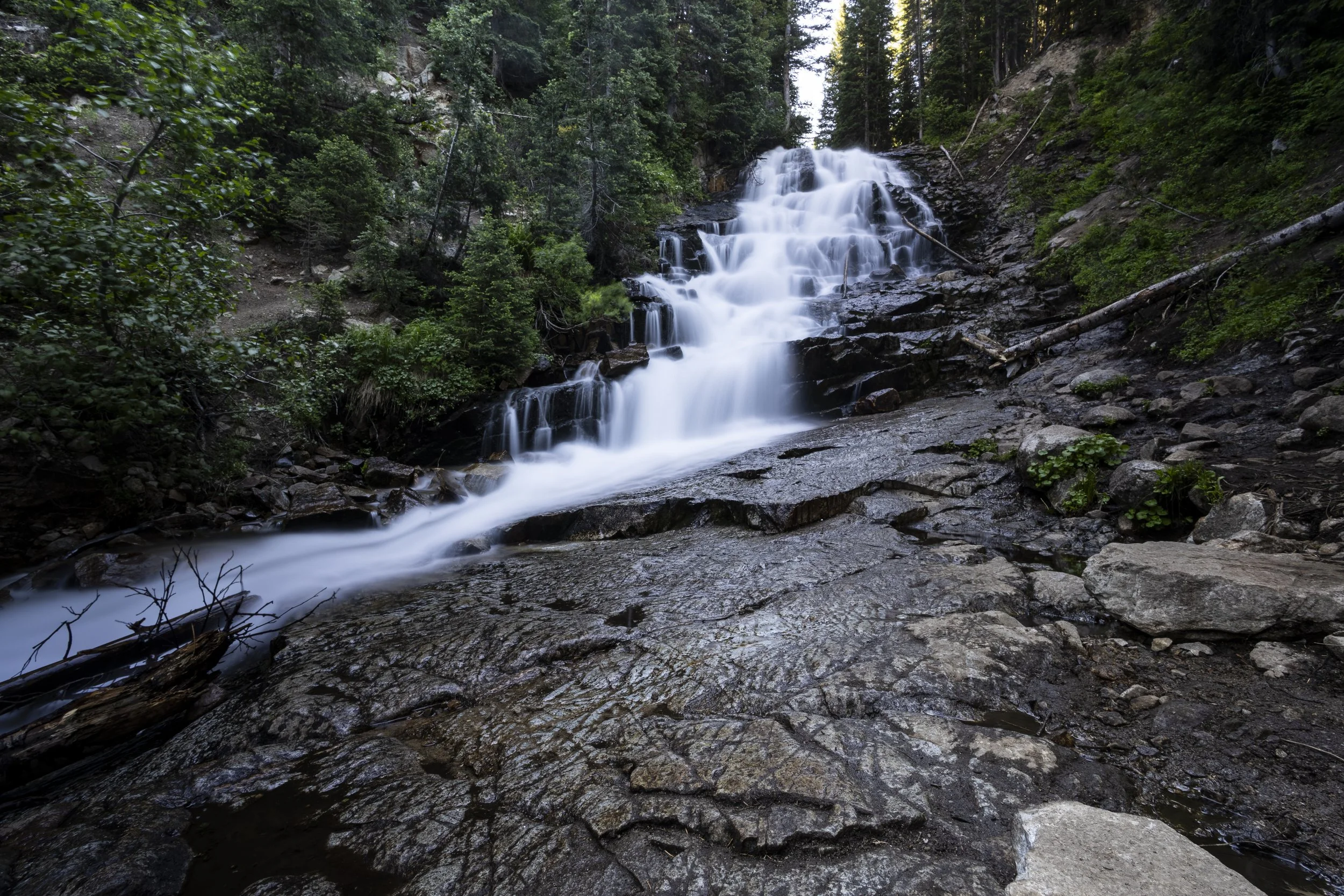 Waterfall flowing over rocks in a forested area, with lush green trees surrounding the scene.