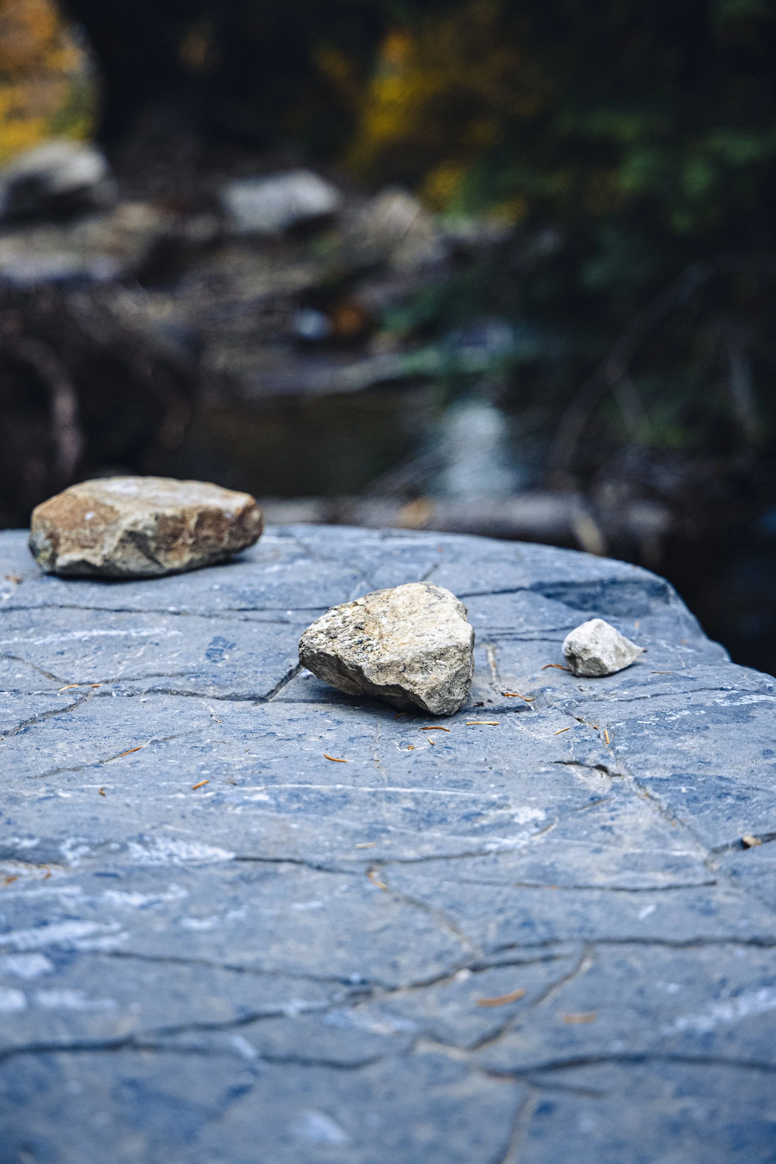 Close-up of three rocks on a cracked, flat stone surface with a blurred natural background.