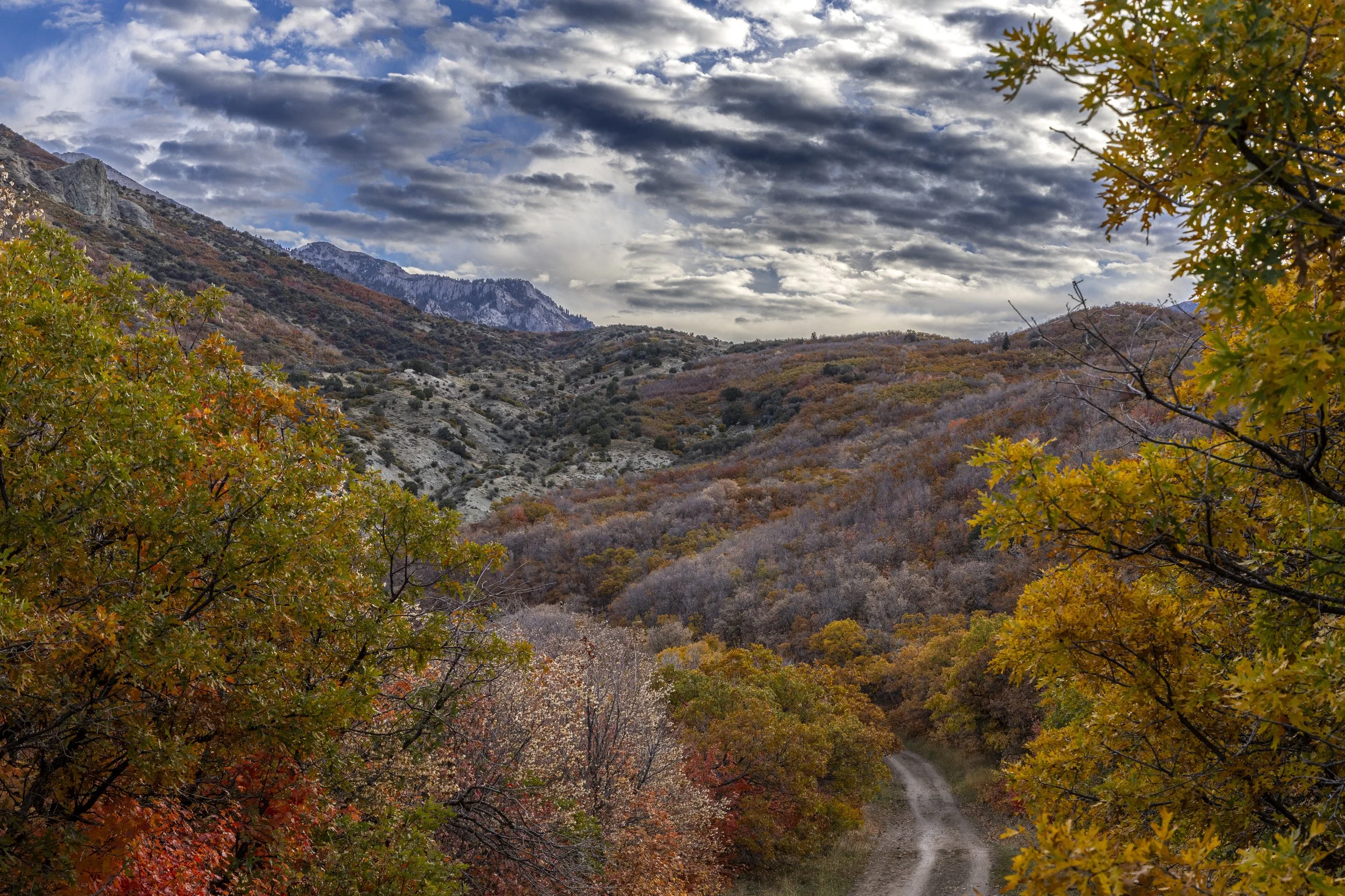 A scenic view of a mountain landscape in autumn with colorful trees, a dirt path, and a cloudy sky.