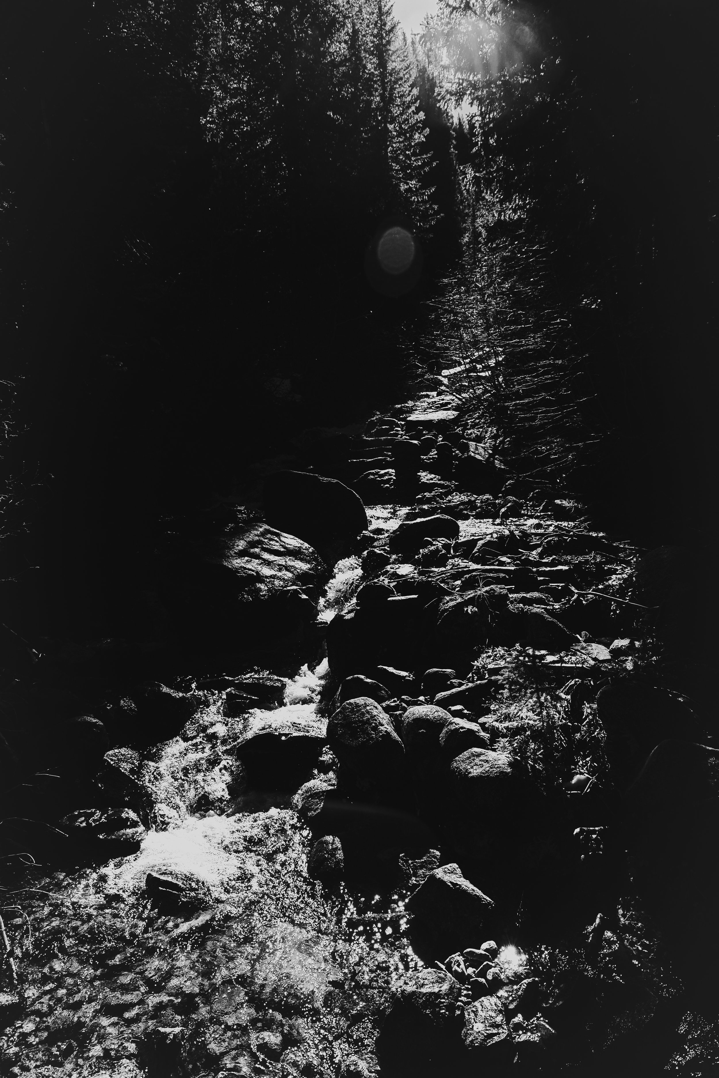 Black and white photograph of a rocky mountain stream with sunlight filtering through trees.
