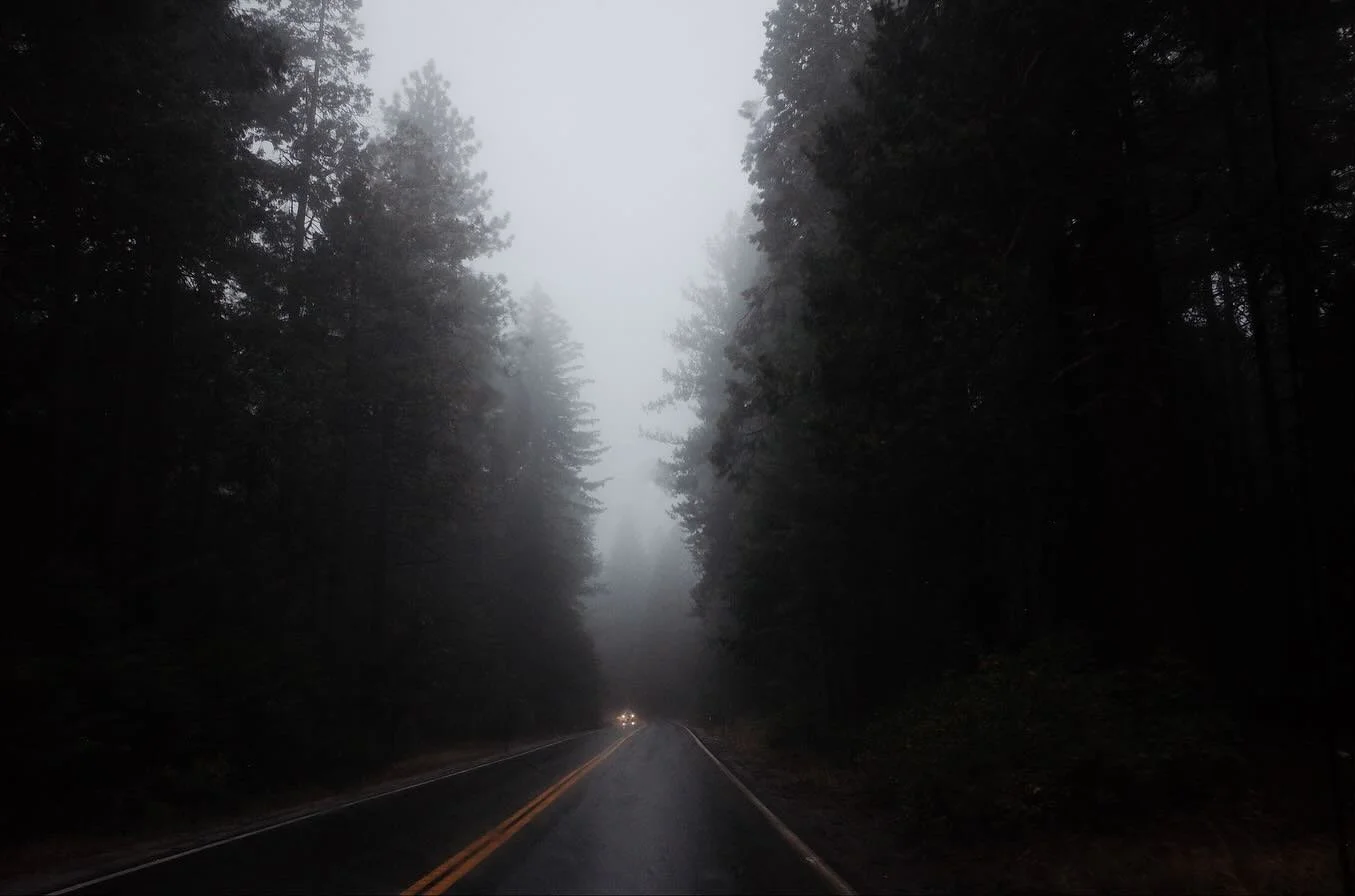 A week in California for some music @strawberry_music_festival