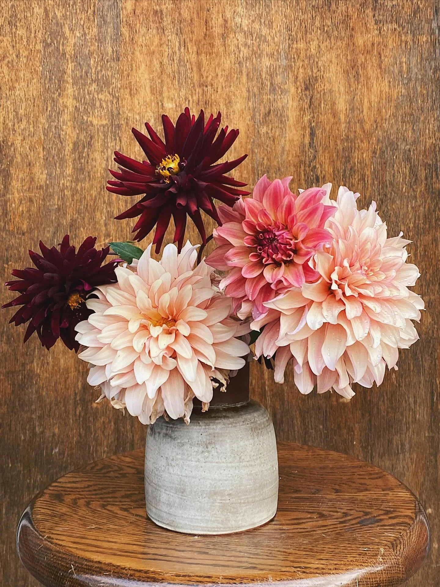 Last blooms of the year, all cut down before the cold sets in (and in vases I made over the summer!) 

See ya next year, beauties 👋🏼✨🌸