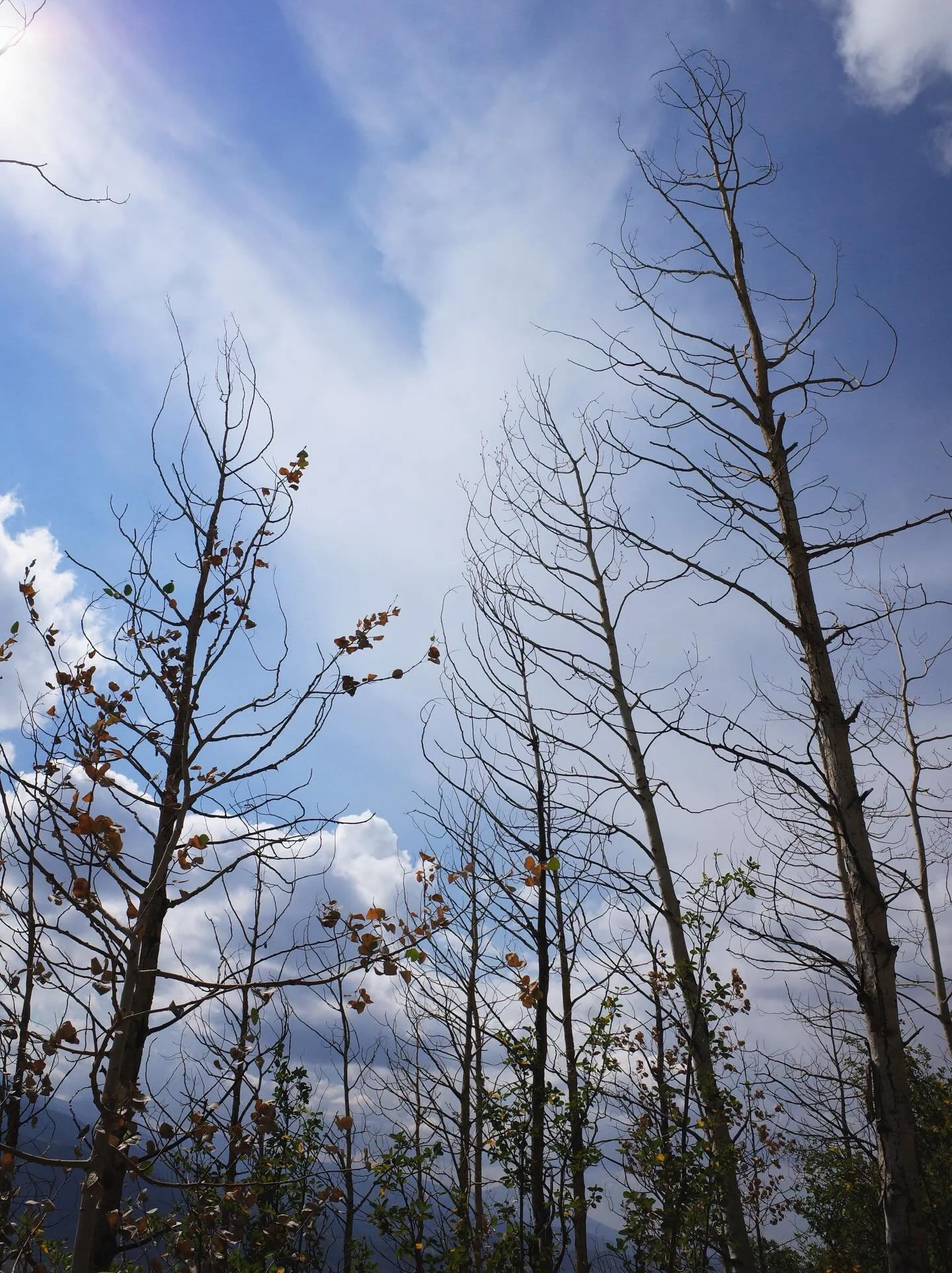 I love you, but I don&rsquo;t think you&rsquo;re paying close enough attention. 👁️
.
.
.
#ricoh #ricohgr2 #ricohsnaps