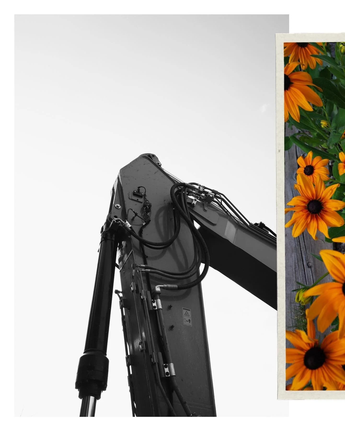 #ricoh shots from the week
.
.
.
#ricohgr #ricohimages #ricohgrⅱ