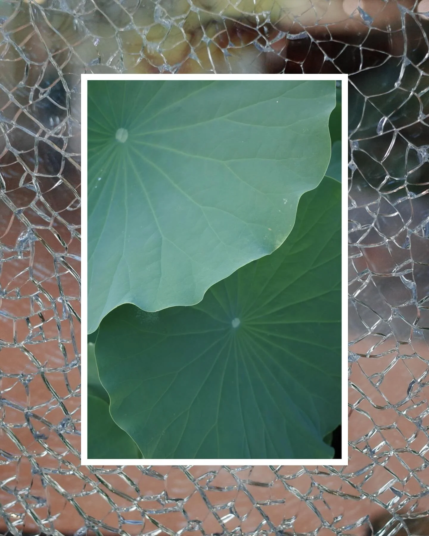 Snaps from the past week or so. 
#ricohgr2 #ricoh_gr_women #ricohsnaps #ricoh