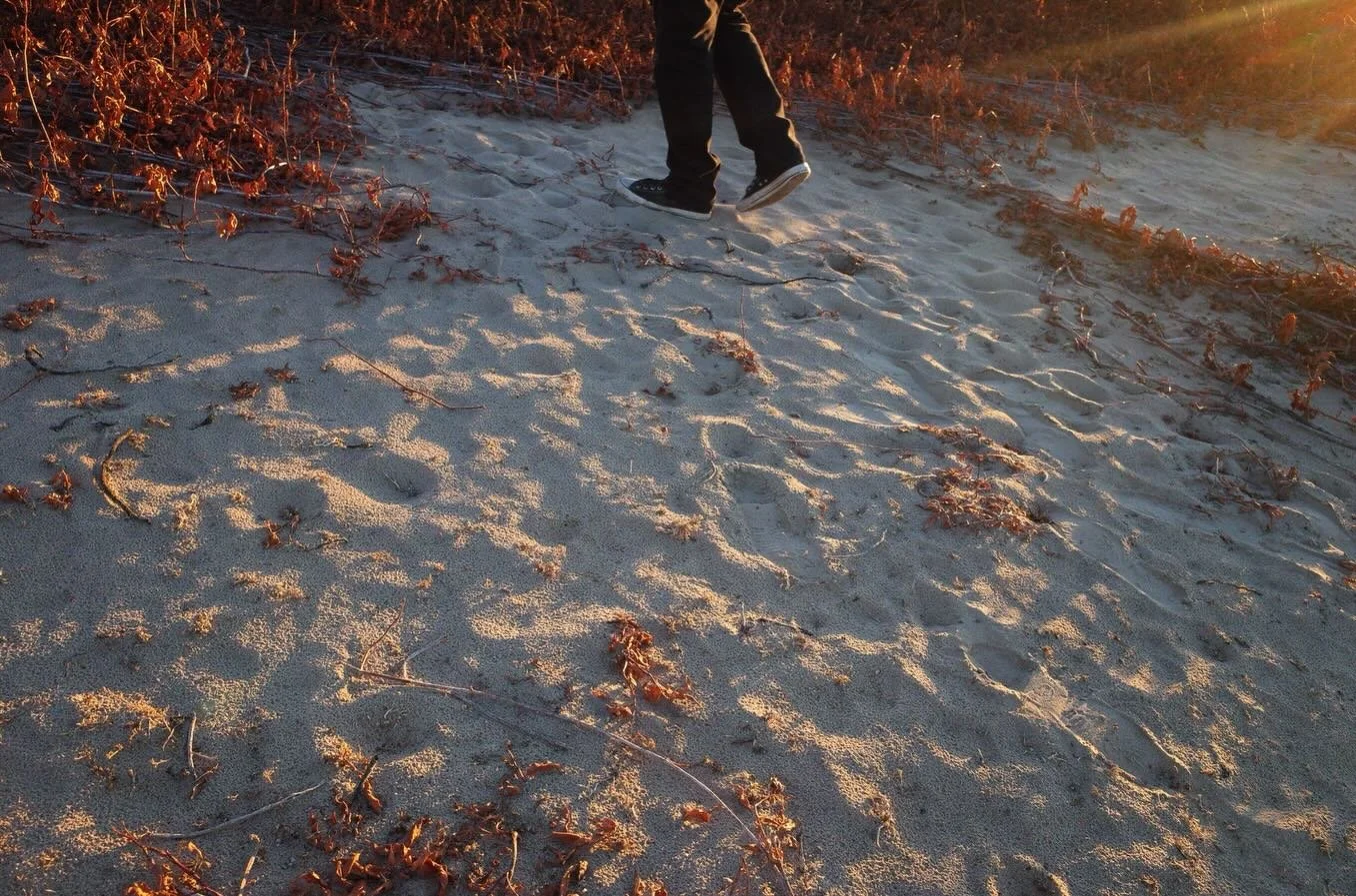 A walk around Barr Lake 👣
.
#ricohgr2 #ricoh #ricohimages #ricohgr