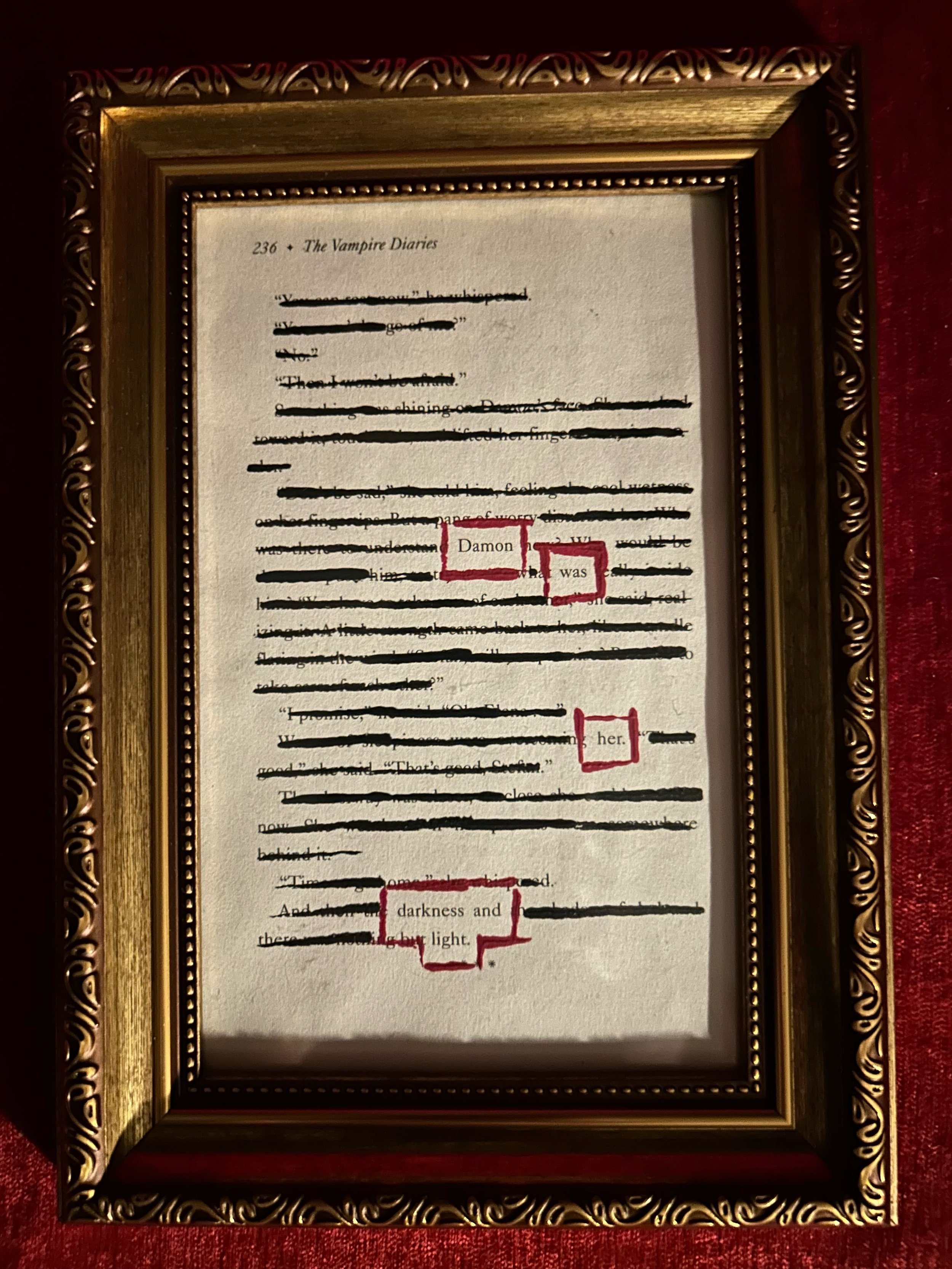 3-damon-was-her-darkness-and-light-p236.jpg