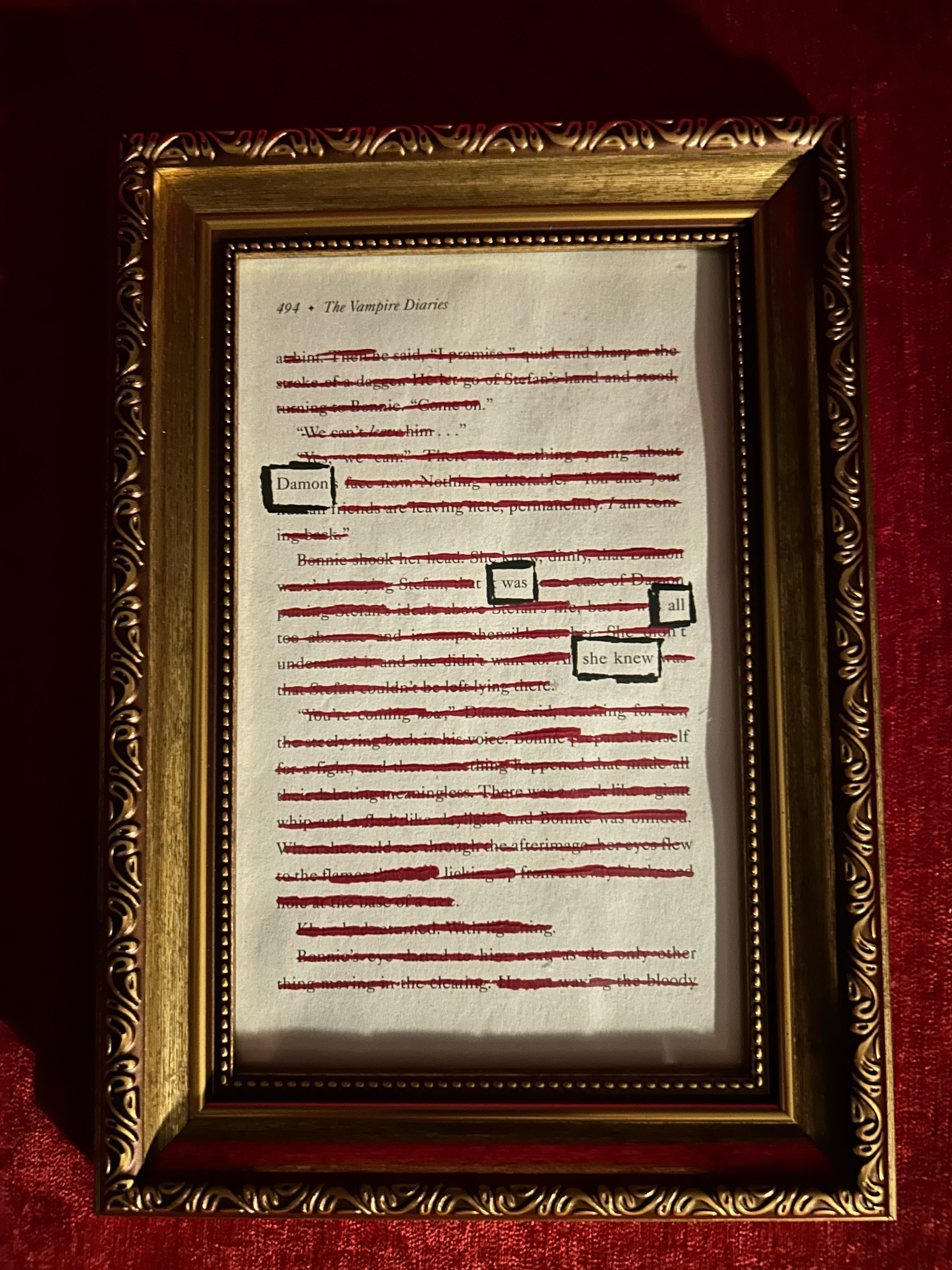 1-damon-was-all-she-knew-p494.jpg